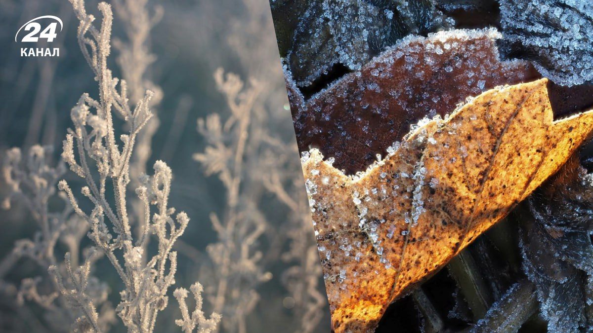 Морози в Україні - 24 Канал