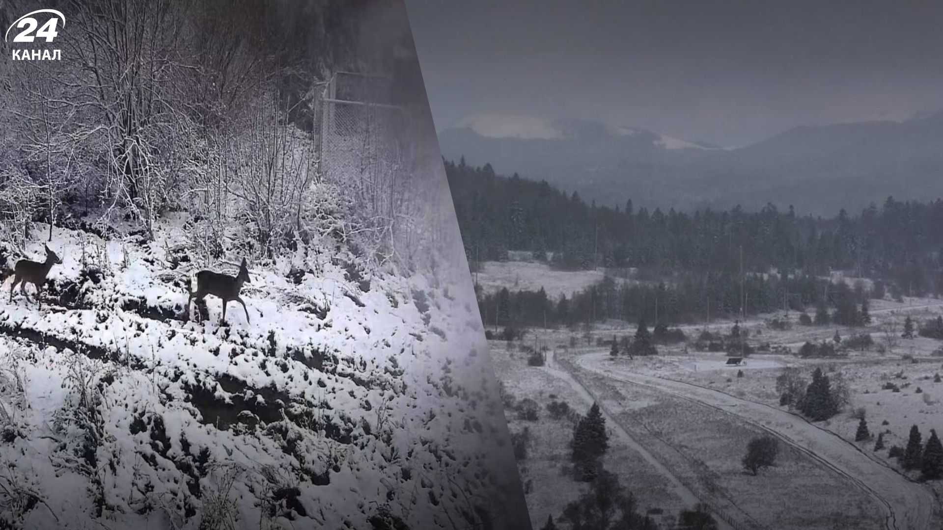 Справжня зима на кордоні Львівщини та Польщі - 24 Канал Справжня зима на кордоні Львівщини та Польщі - 24 Канал