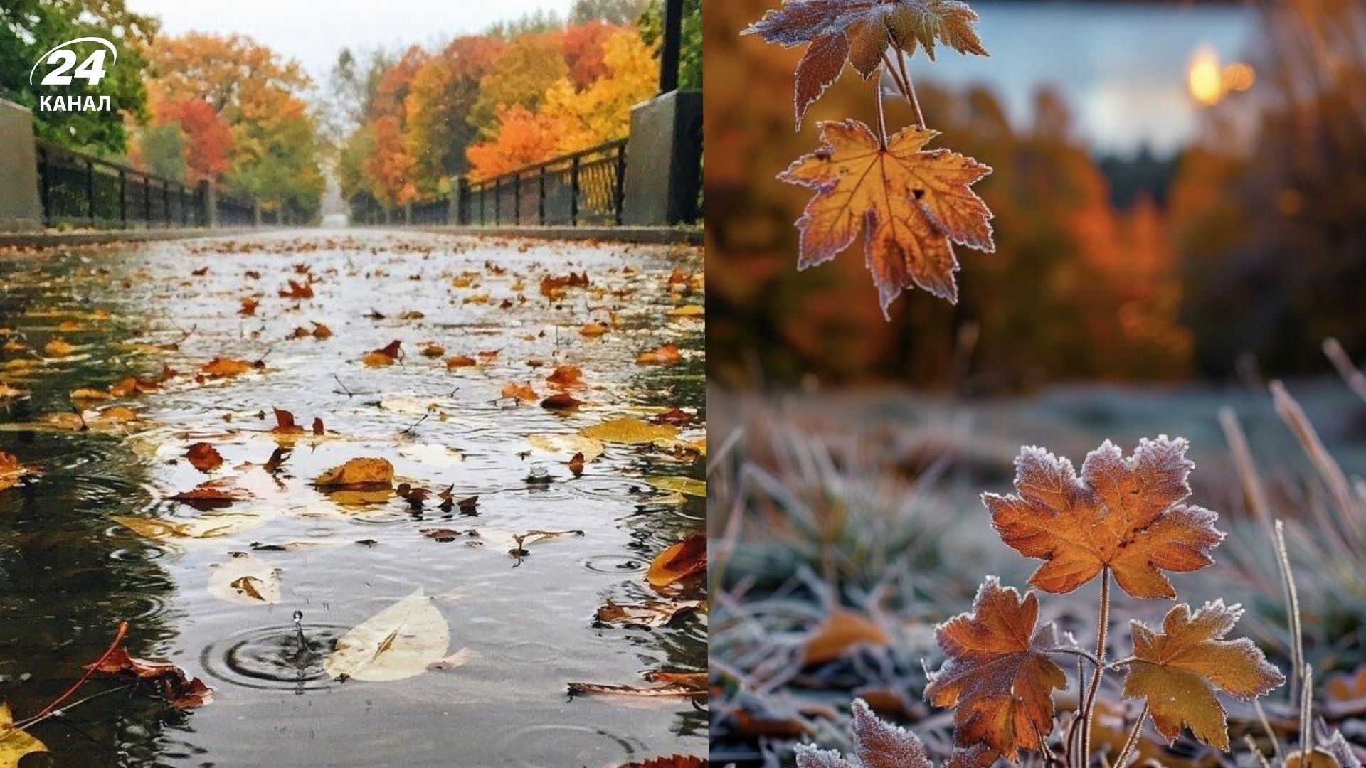 Погода в Україні 20 листопада 2025