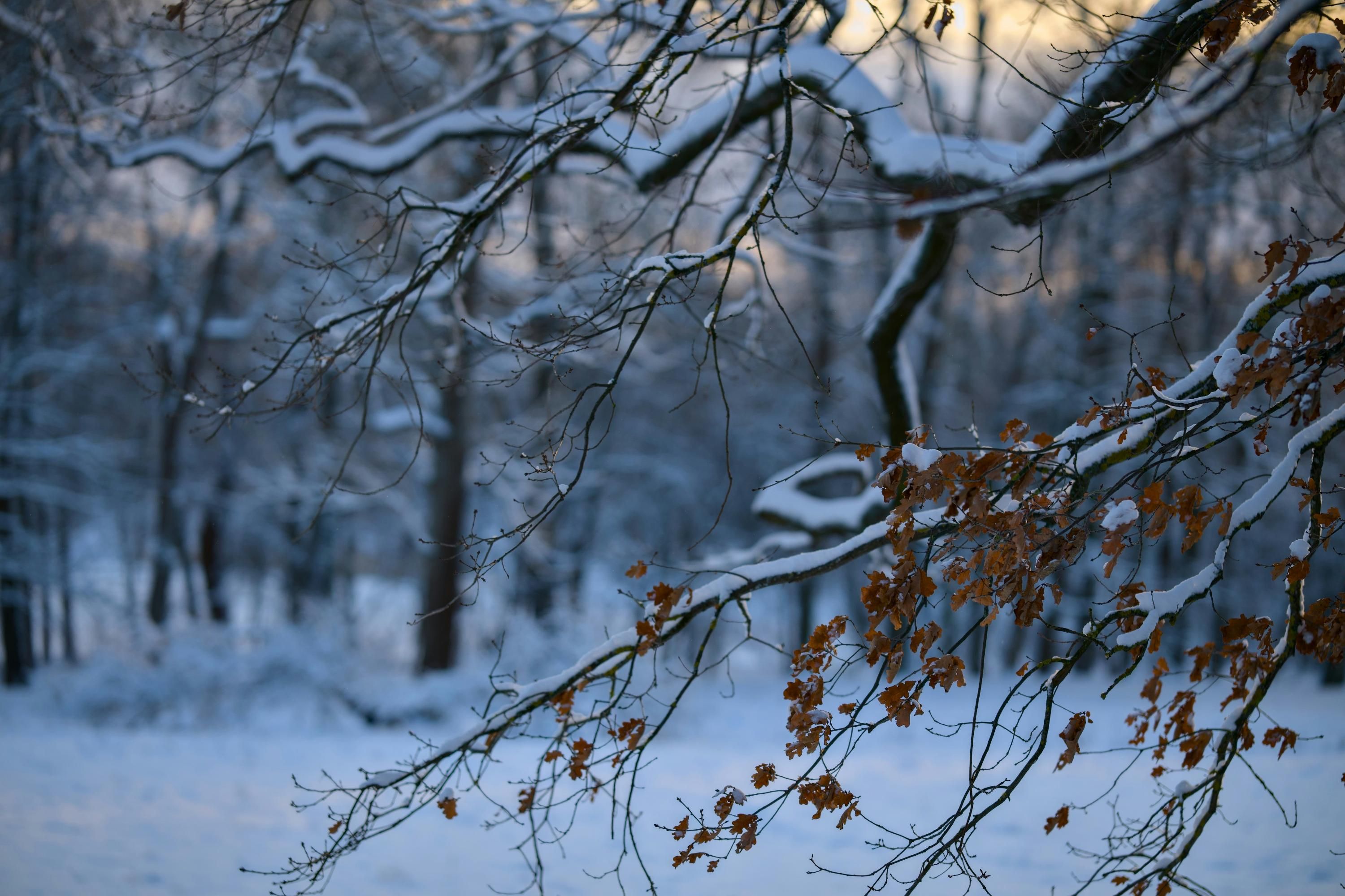 Прогноз погоды в Украине - 24 Канал Прогноз погоды в Украине - 24 Канал