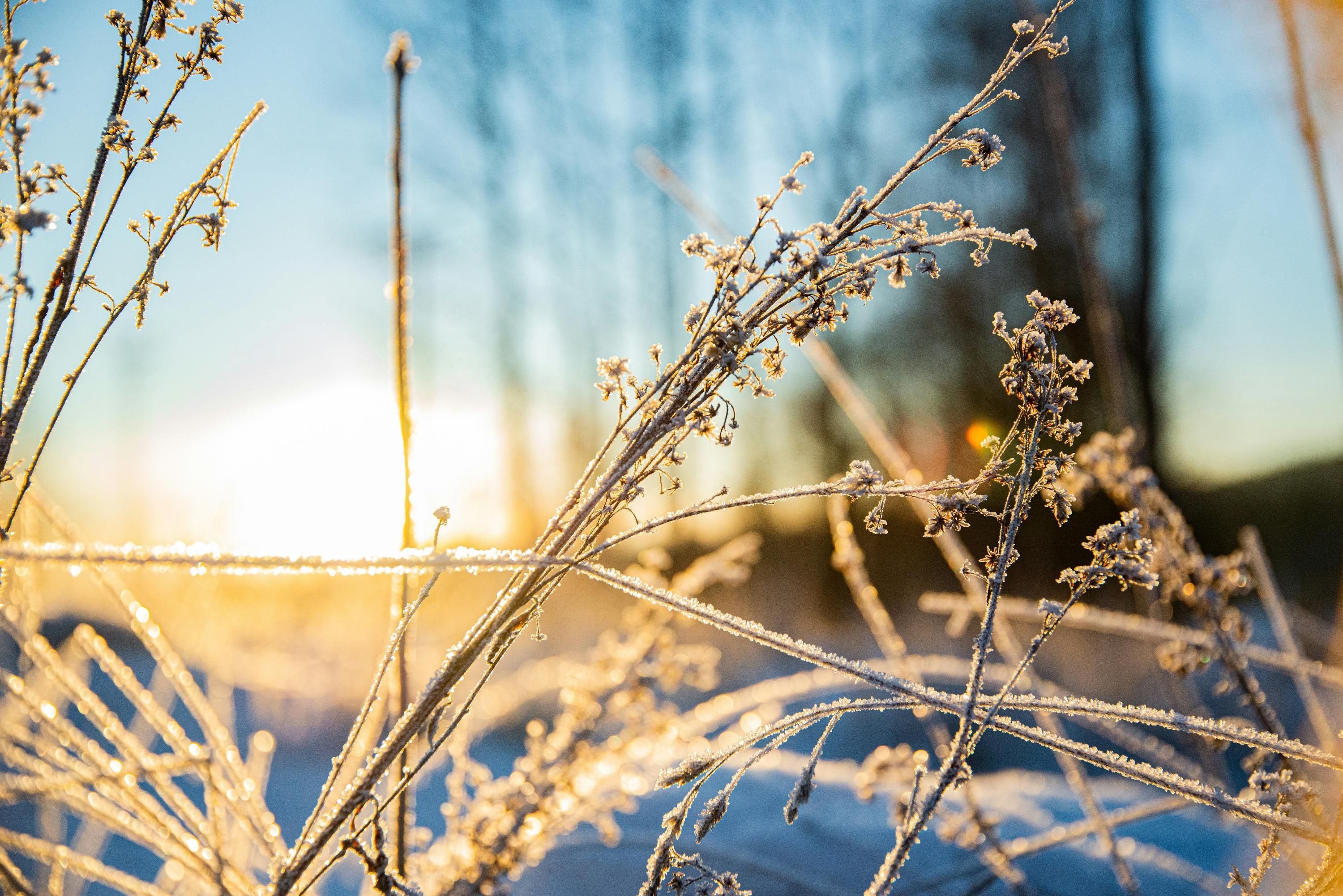 Похолодание в Украине в ближайшее время - 24 Канал