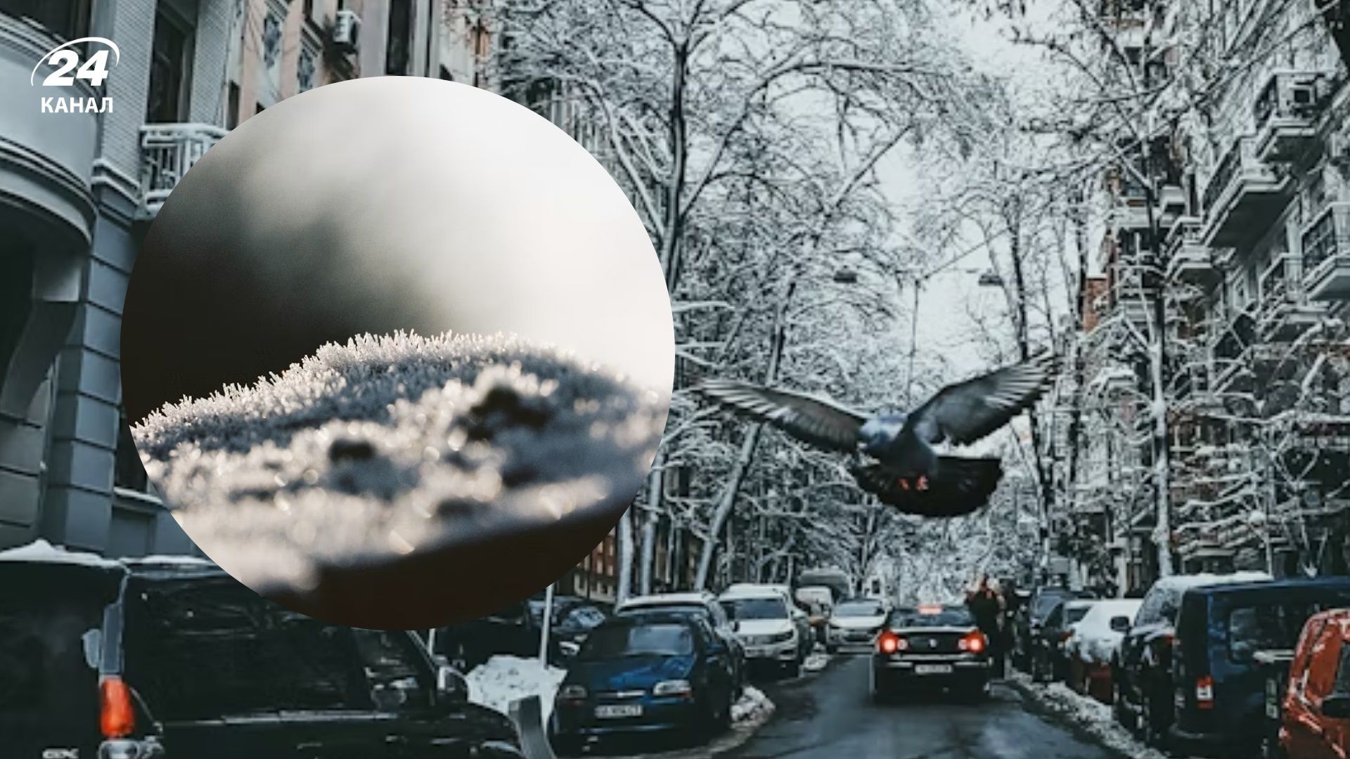 В одной части Украины мокрый снег, в другой неожиданно +21: прогноз погоды на 21 ноября - 24 Канал