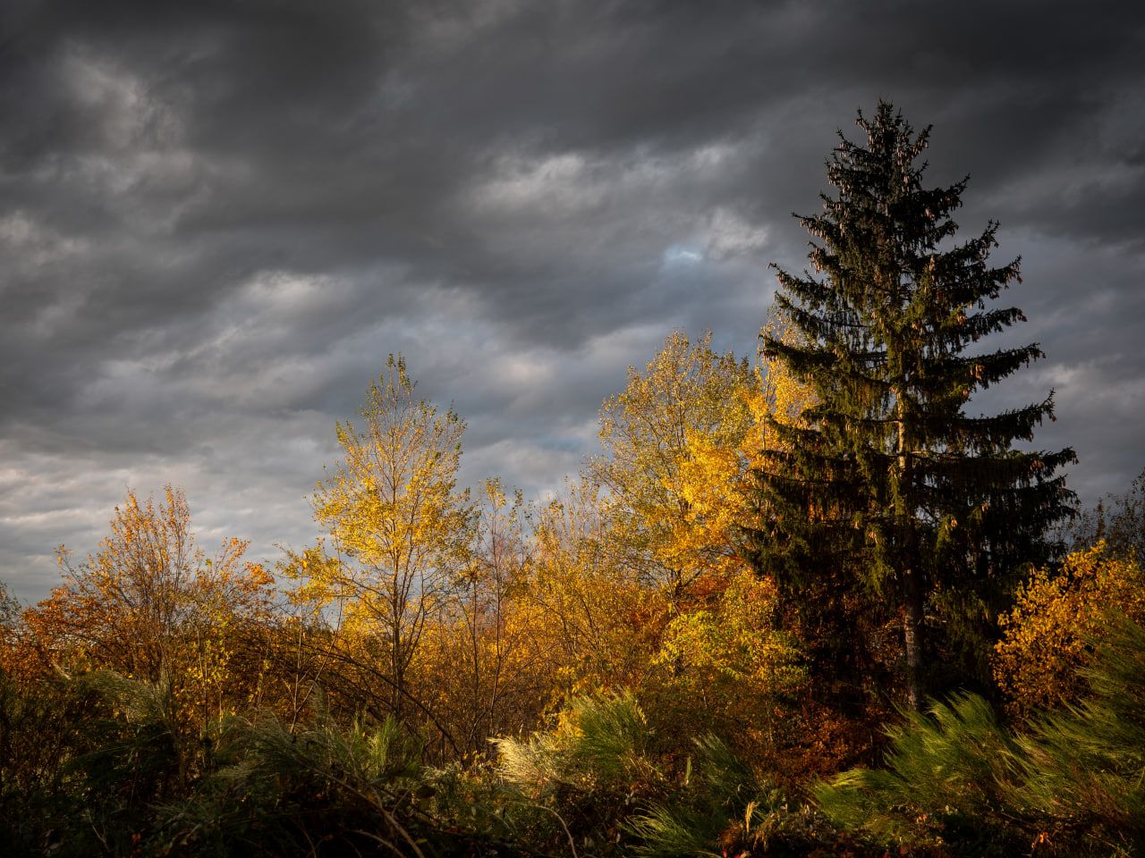 Что означает известное выражение?