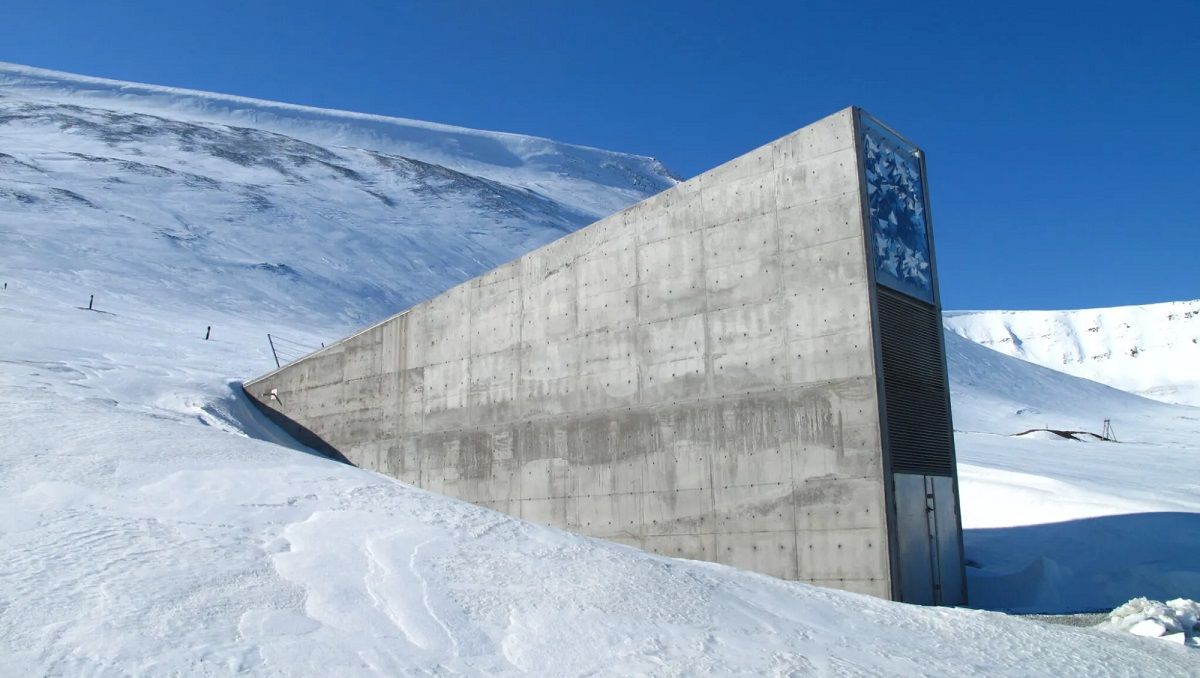 Навіщо людству потрібне сховище насіння на Місяці