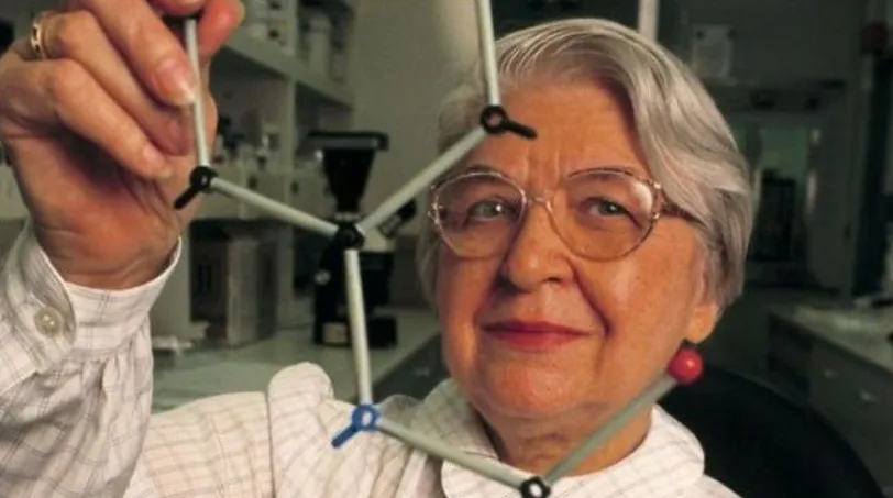 Стефани Кволек Стефани Кволек