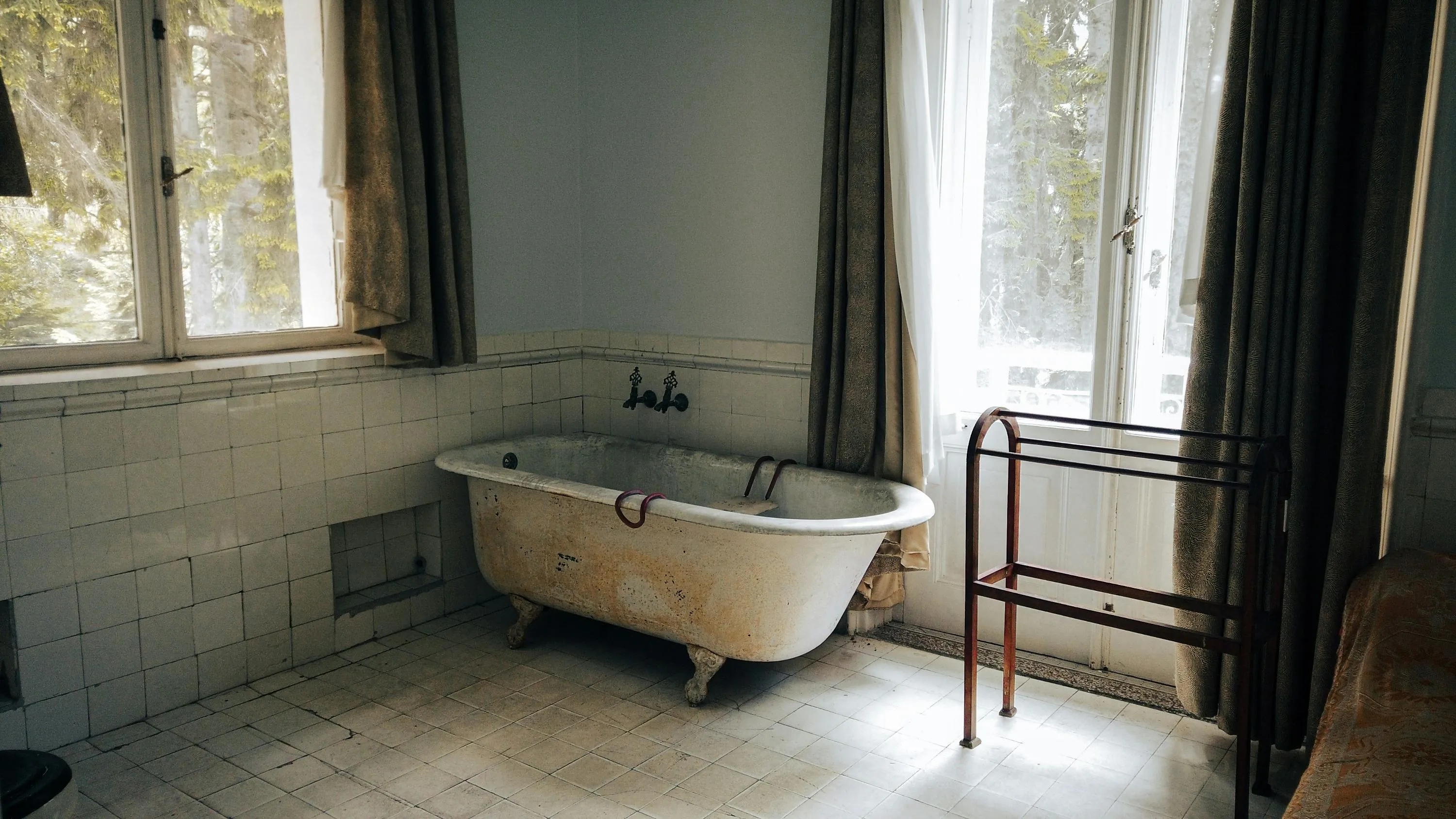 Как вывести плесень