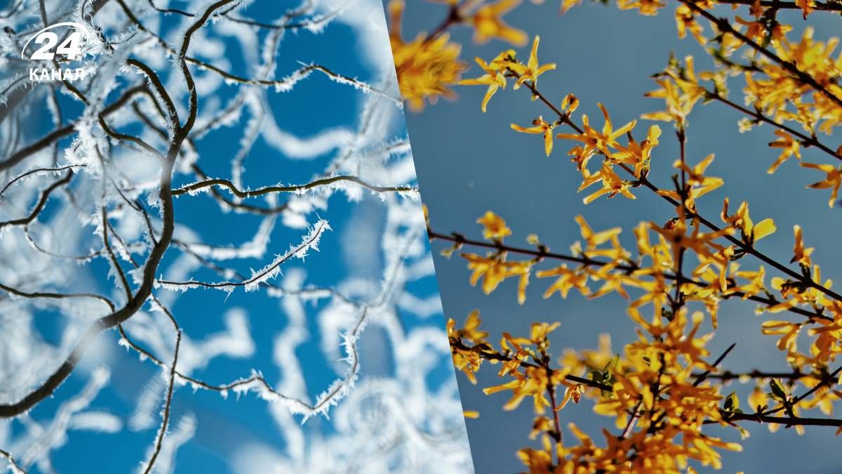 Морозы в Украине - 24 Канал Морозы в Украине - 24 Канал