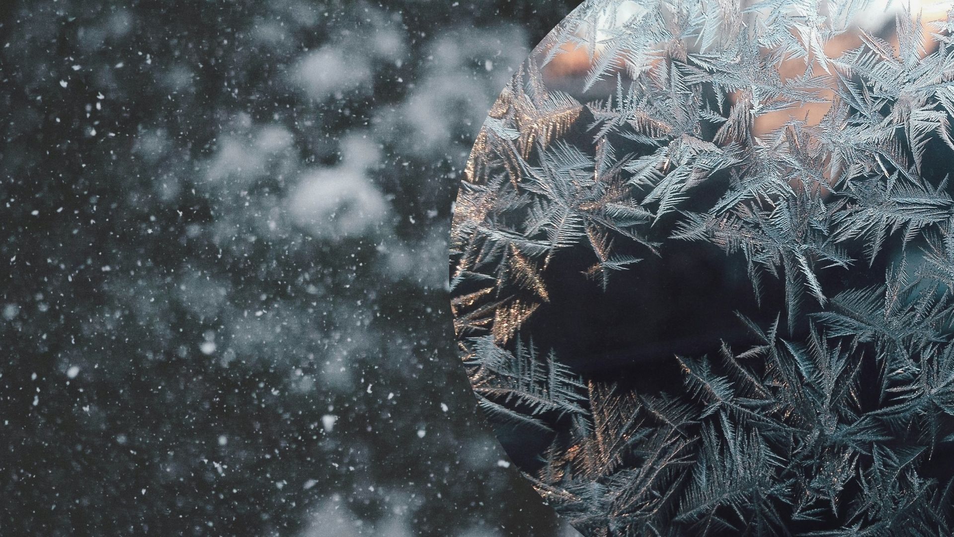 Погода у Львові - 24 Канал