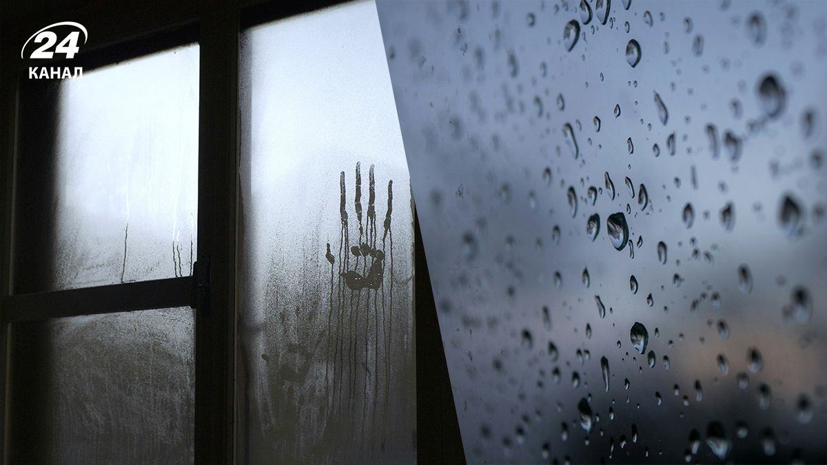 Конденсат на окнах - почему он возникает и как от него избавиться