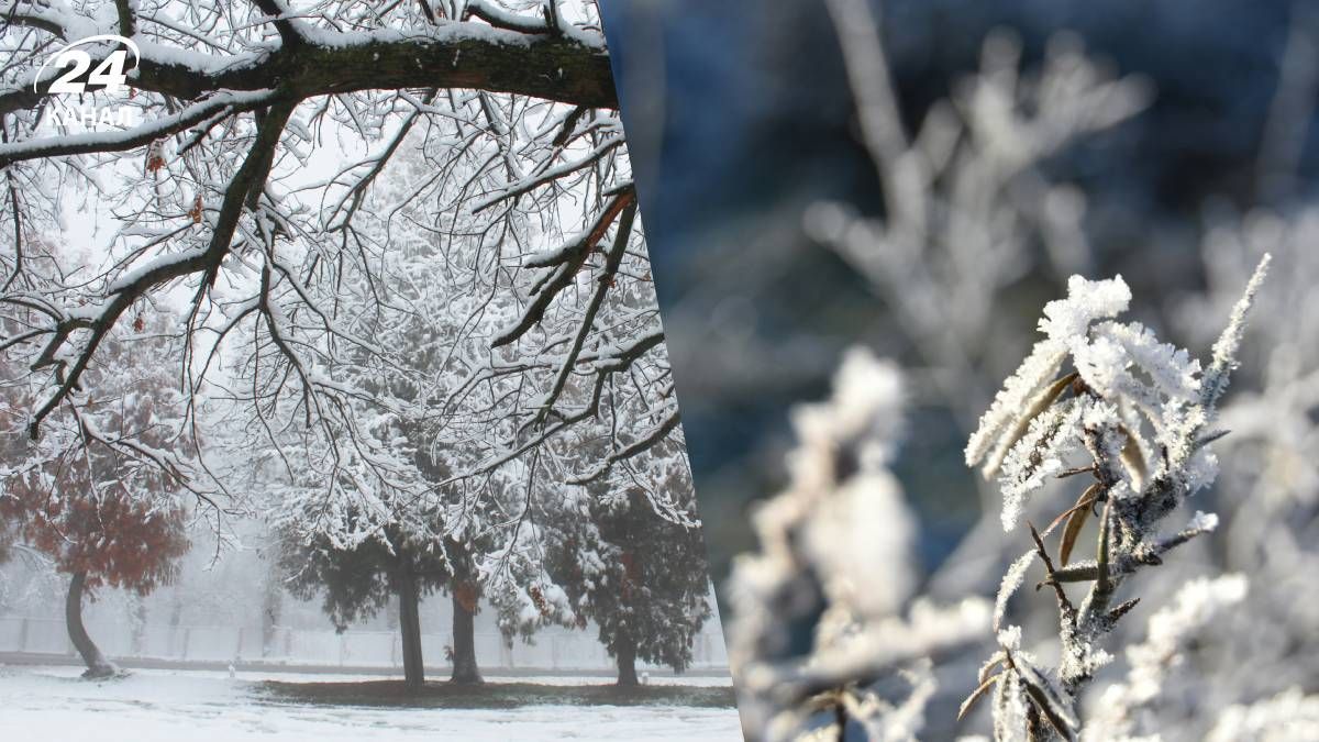 Прогноз погоди в Україні на 24 листопада - 24 Канал