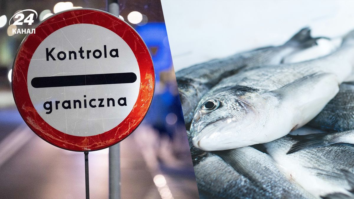 Можно ли везти рыбу в Польшу - что говорят таможенные правила