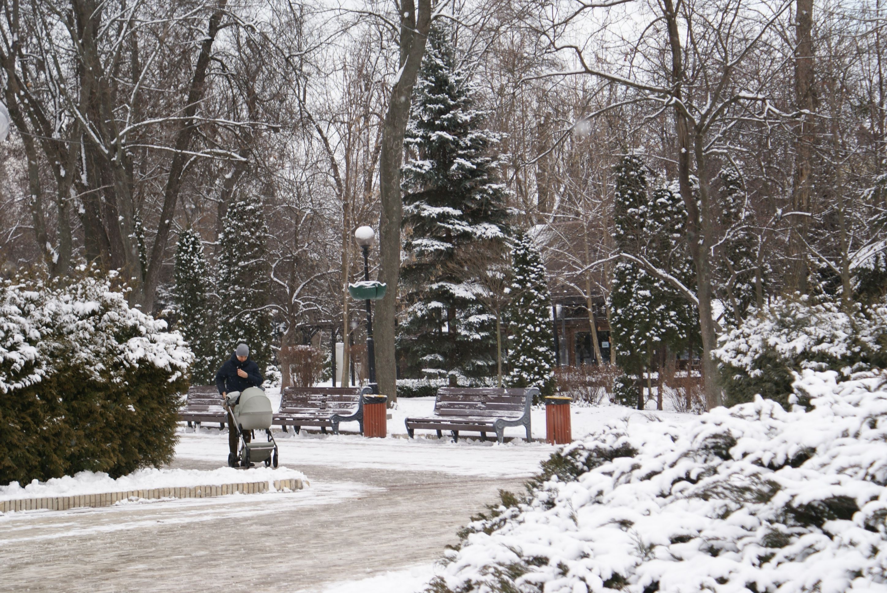 Прогноз погоды в Украине на 25 ноября