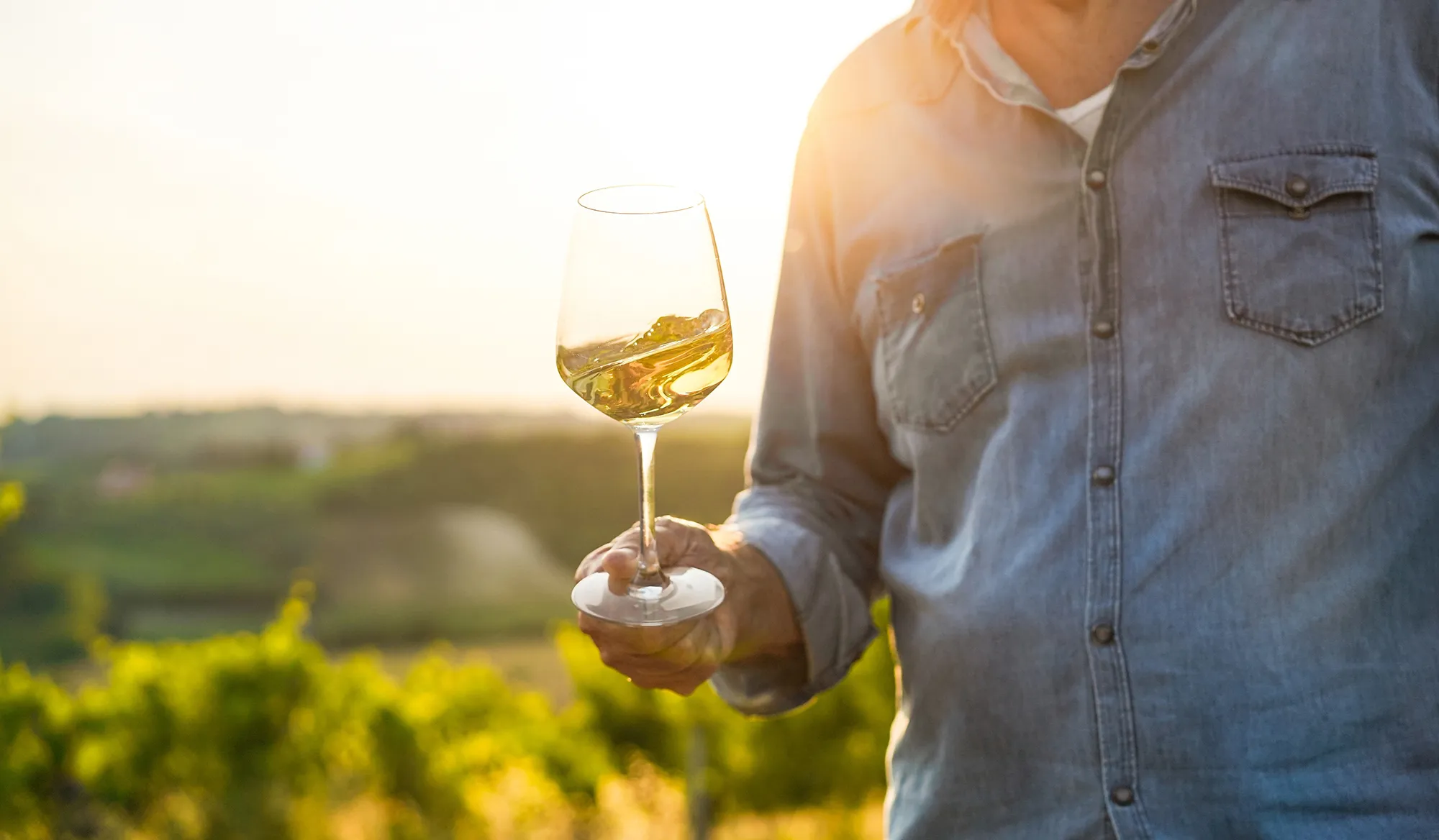 Восени збирають врожай винограду