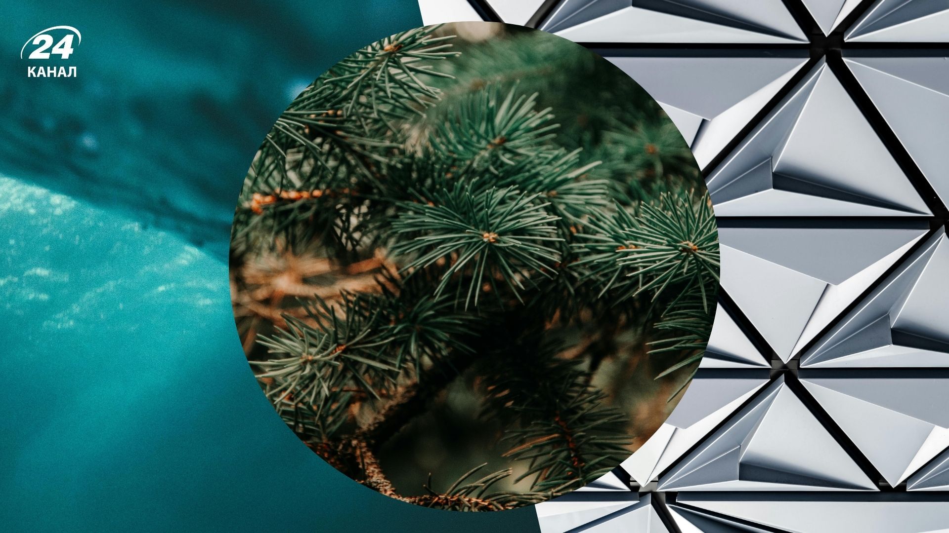 Цвета елки – это то, что создает магию Рождества еще до того, как зажигаются огоньки