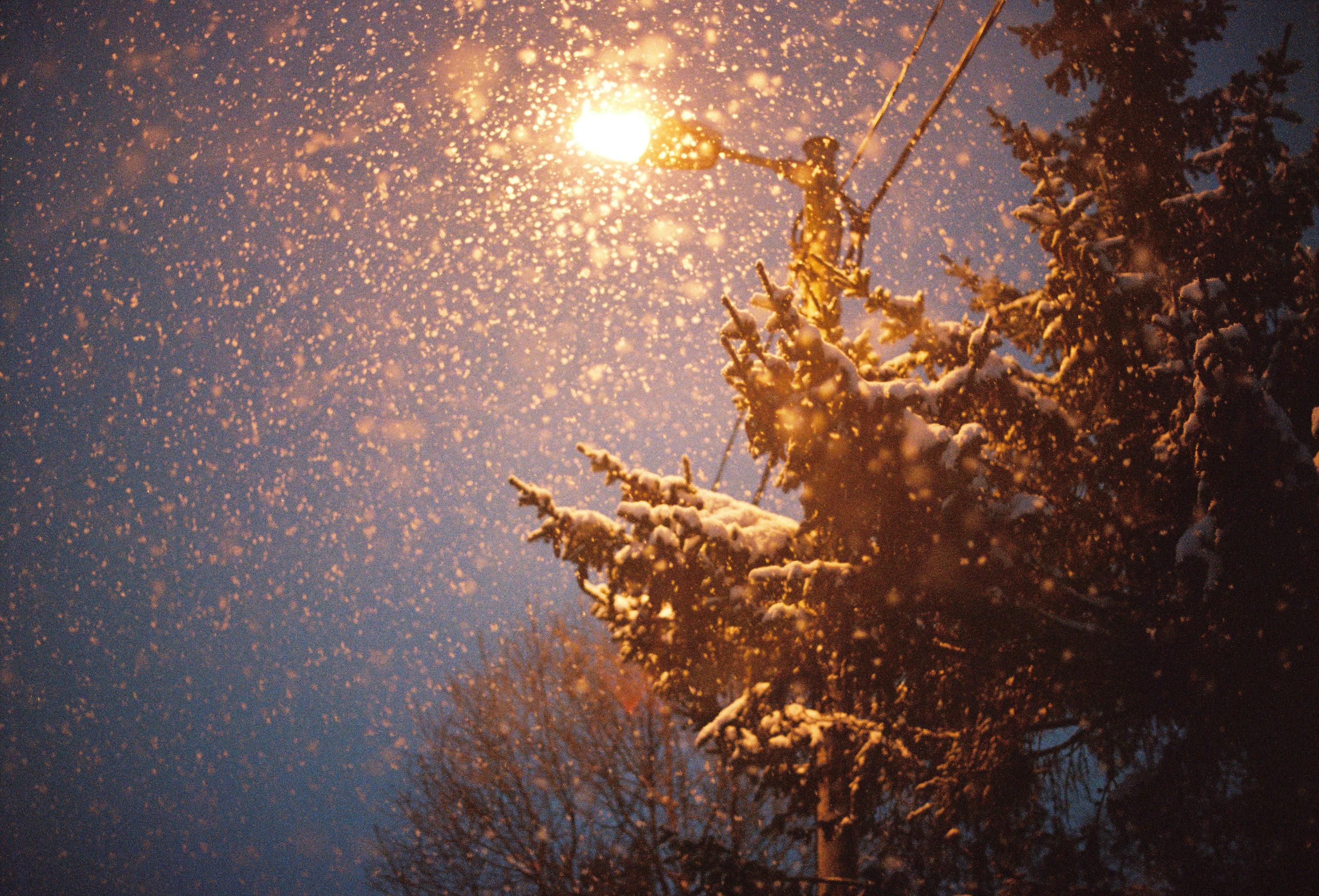 Сильного снігу найближчим часом не буде - 24 Канал