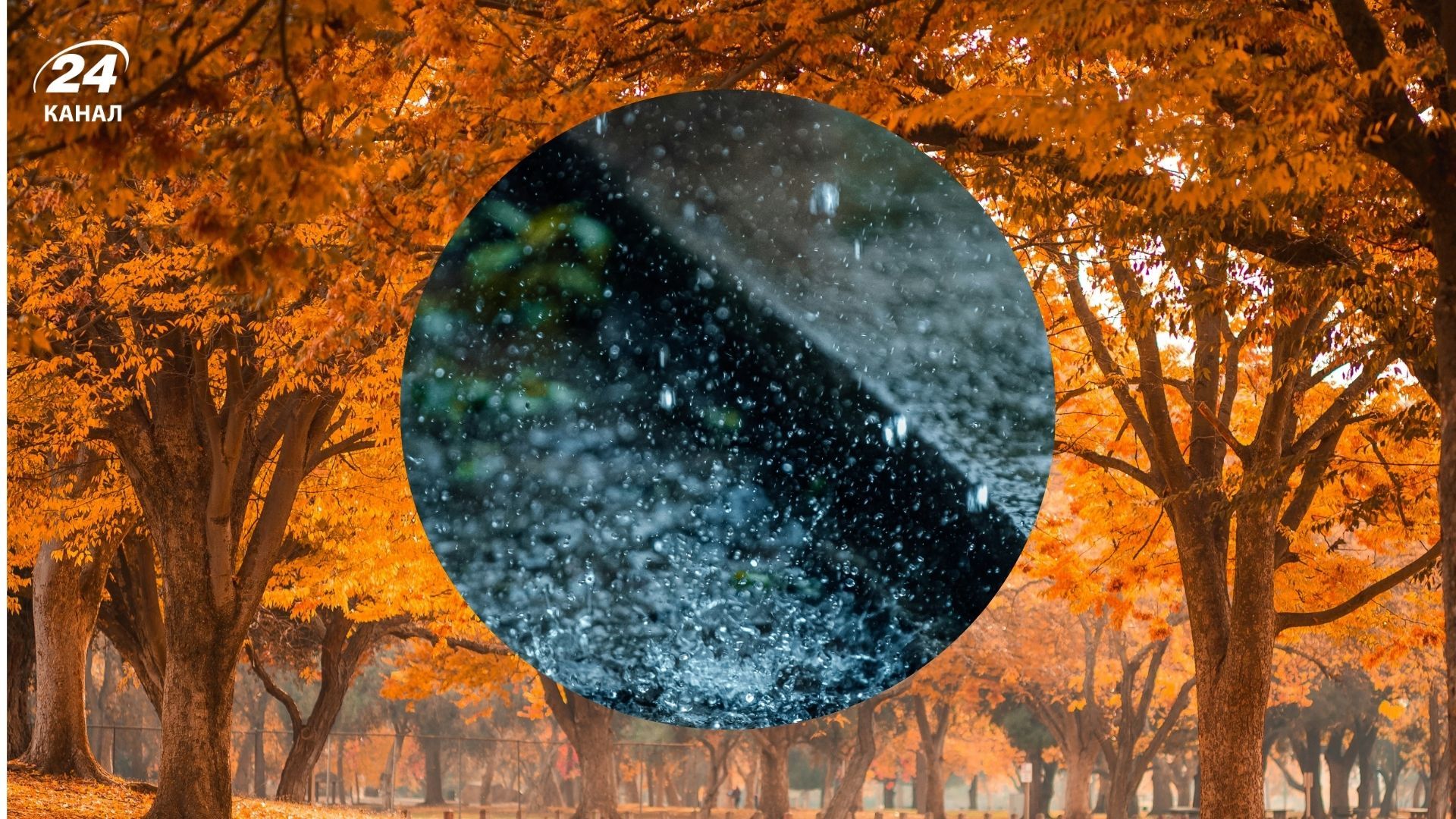Погода на 26 ноября - 24 Канал Погода на 26 ноября - 24 Канал