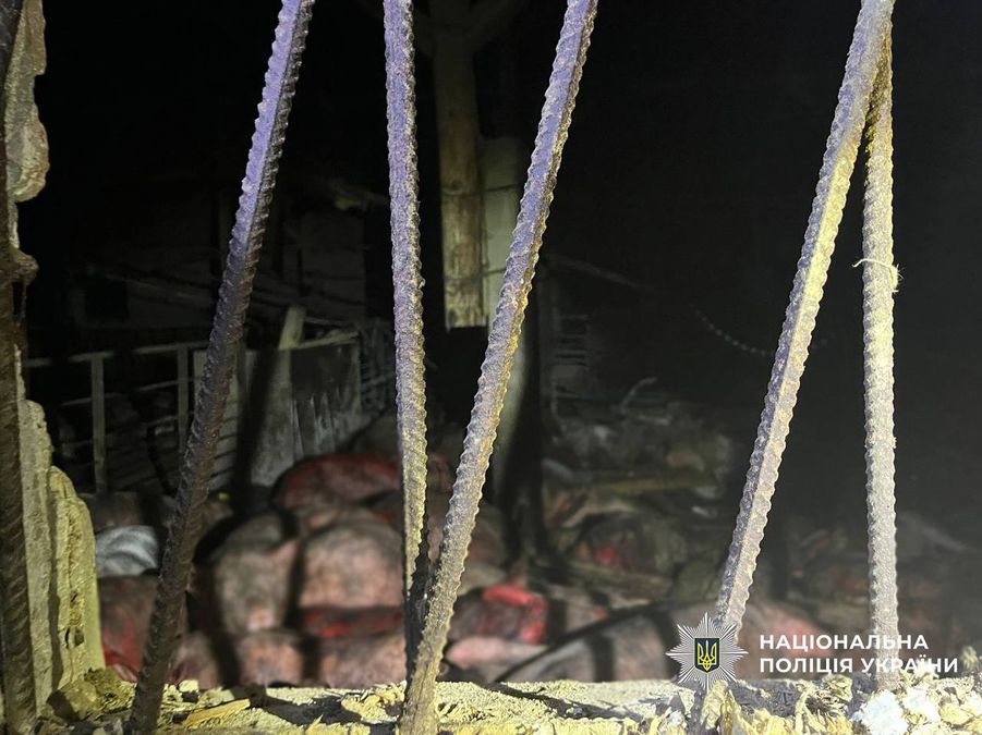 1000 свиней вбили росіяни на Чернігівщині атакою БПЛА