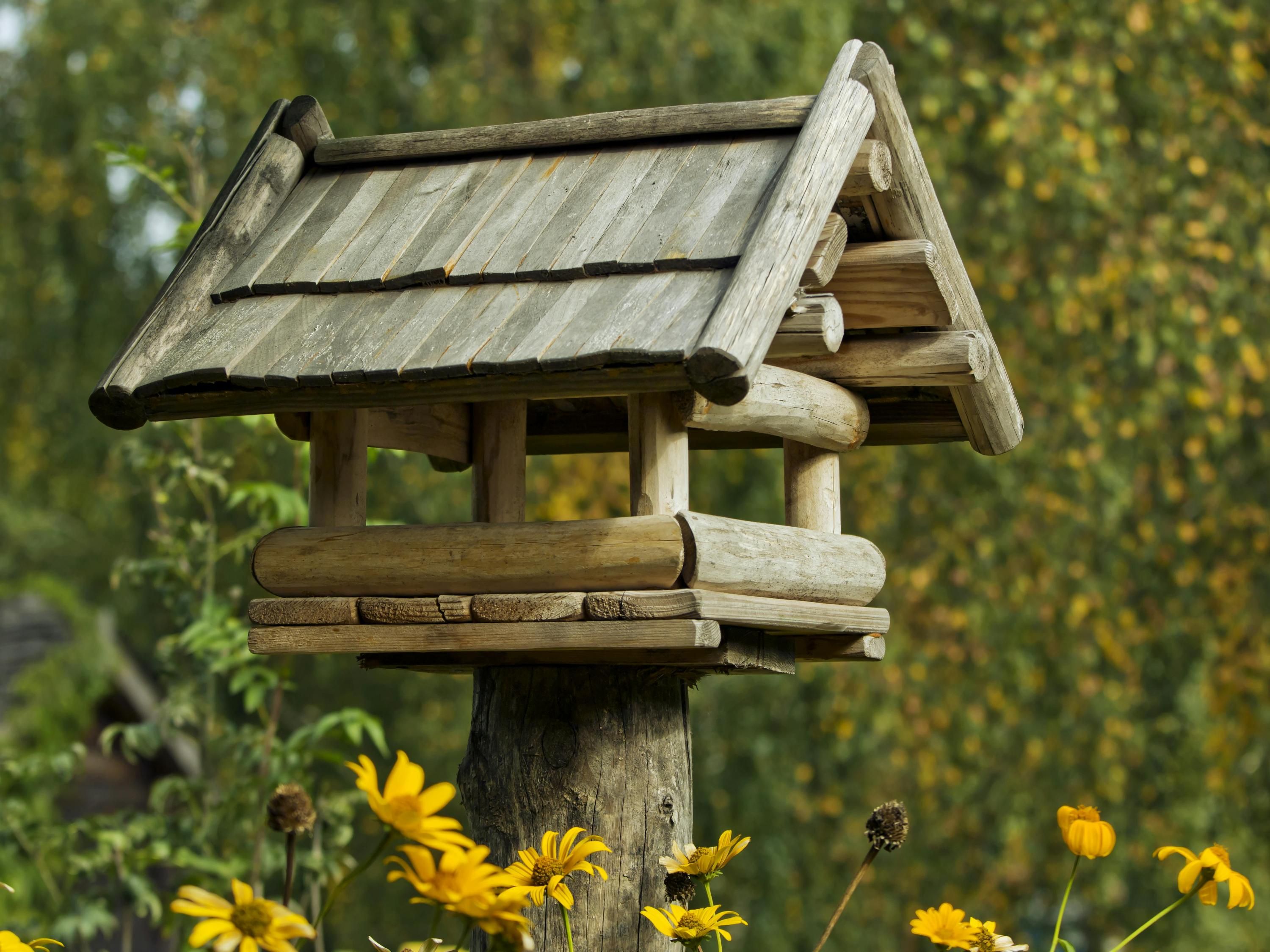 10 новых трендов строительства, которые мы увидим в 2026 году