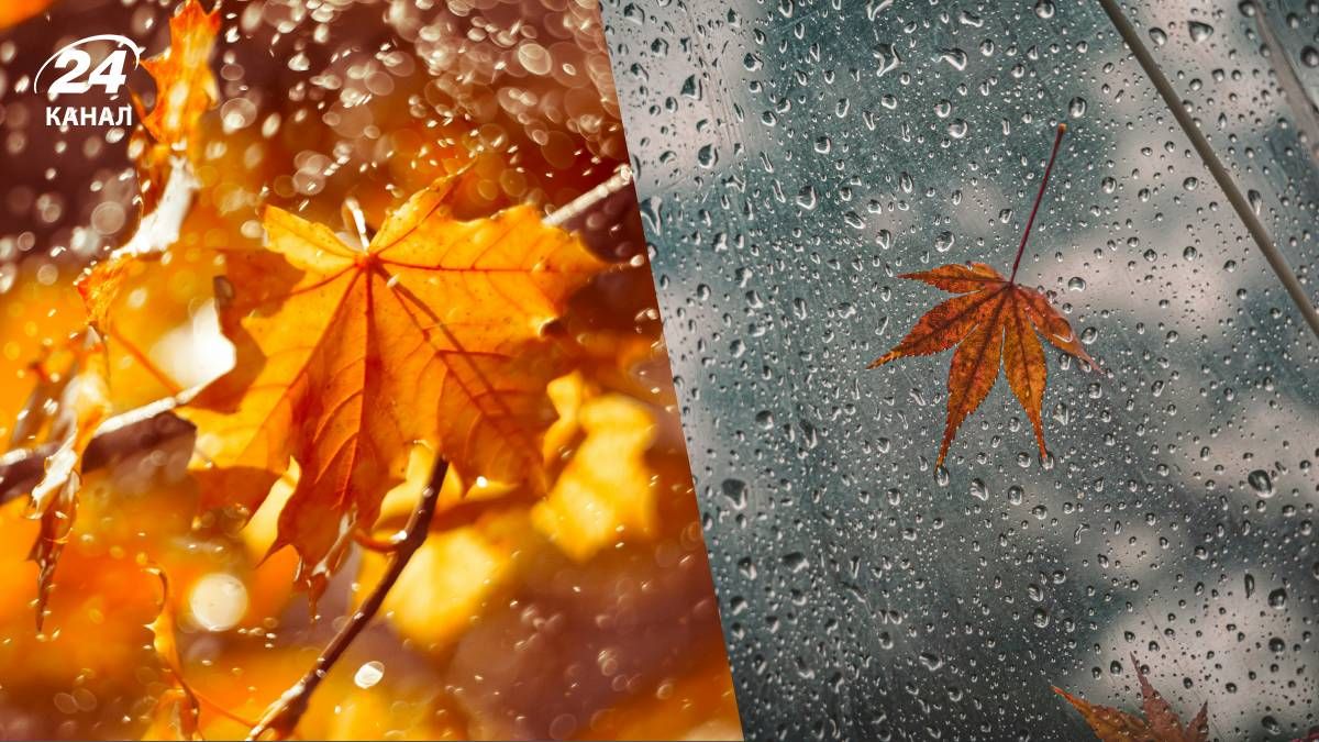 Прогноз погоди на 29 та 30 листопада - 24 Канал