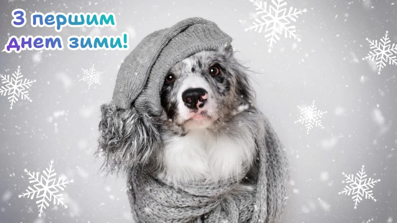 Привітання з першим днем зими 2025 Привітання з першим днем зими 2025