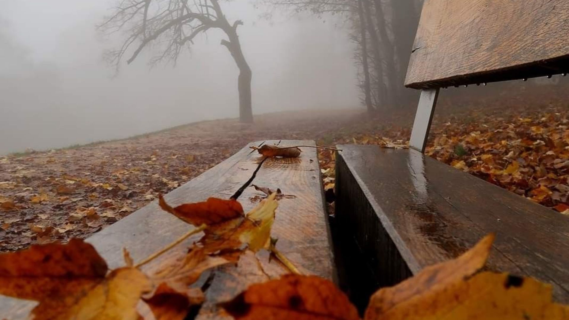 Погода в Украине 30 ноября