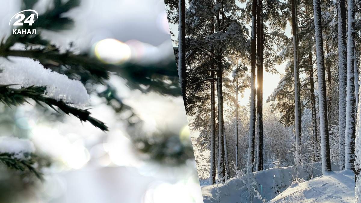 Погода на початок зими - 24 Канал