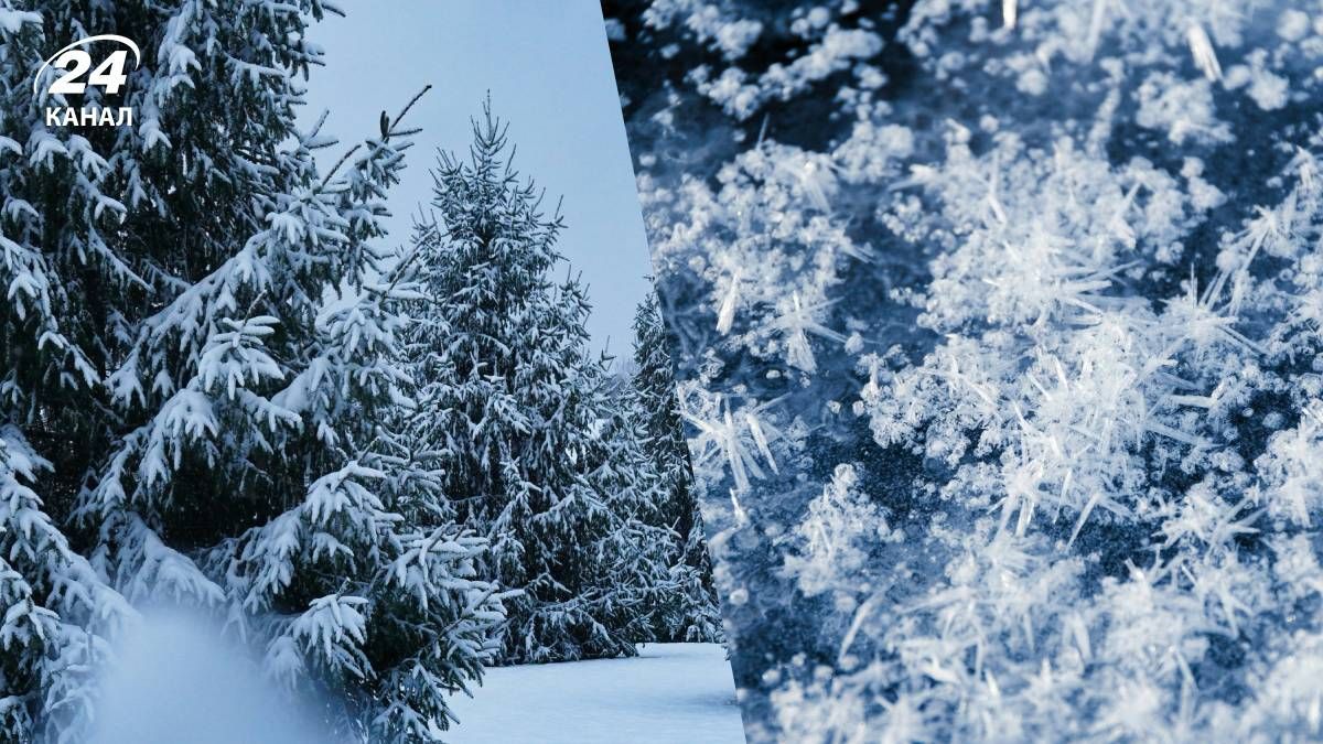 Сильних морозів на початку грудня не буде - 24 Канал Сильних морозів на початку грудня не буде - 24 Канал