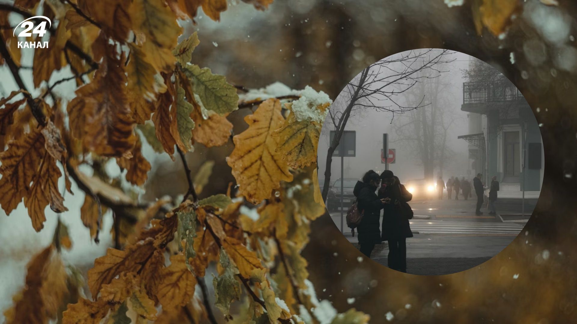 Зима придет с осадками, морозами и туманом: прогноз погоды на 1 декабря - 24 Канал