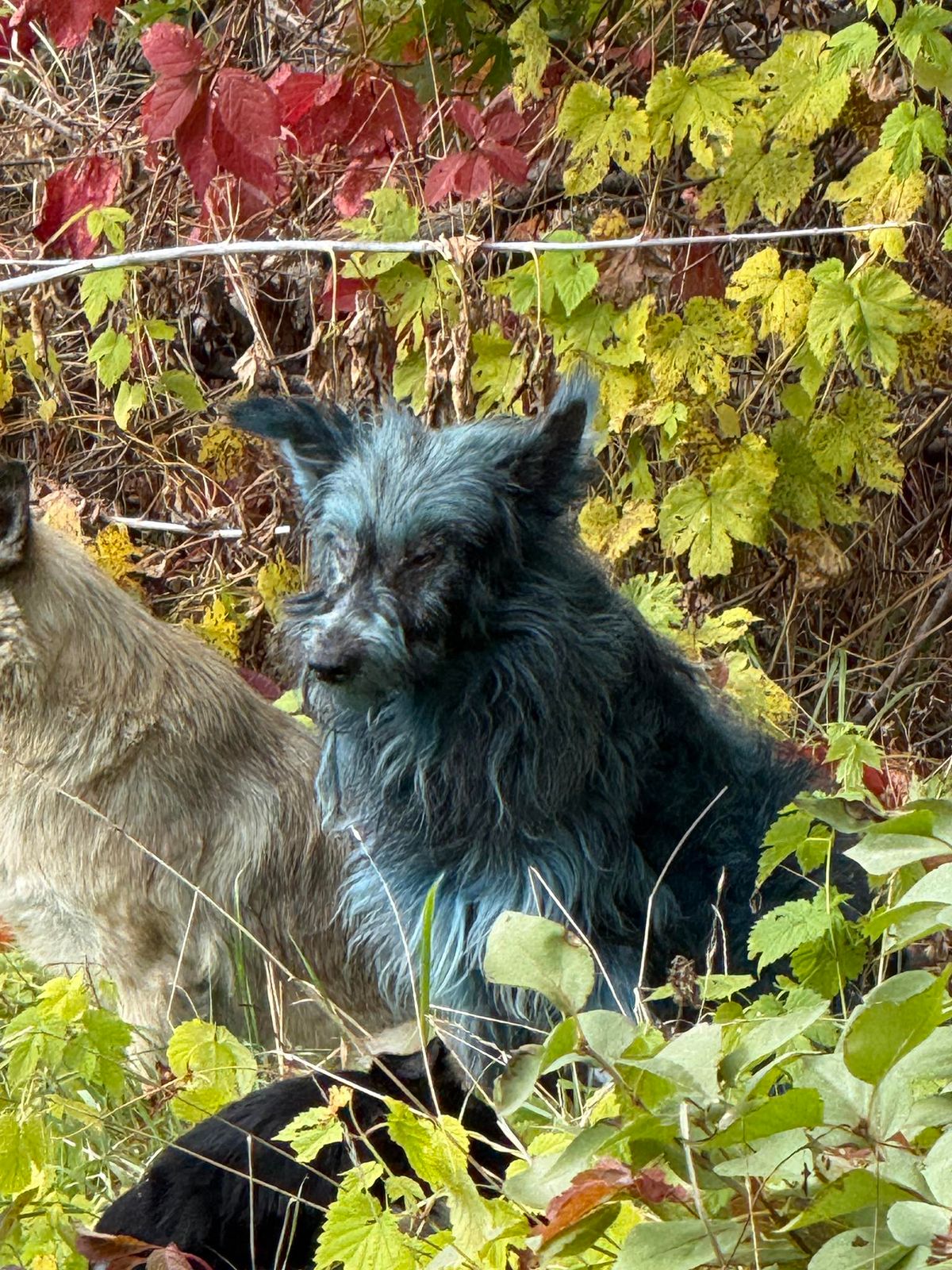 2962436 17569307 Економічні новини - головні новини України та світу