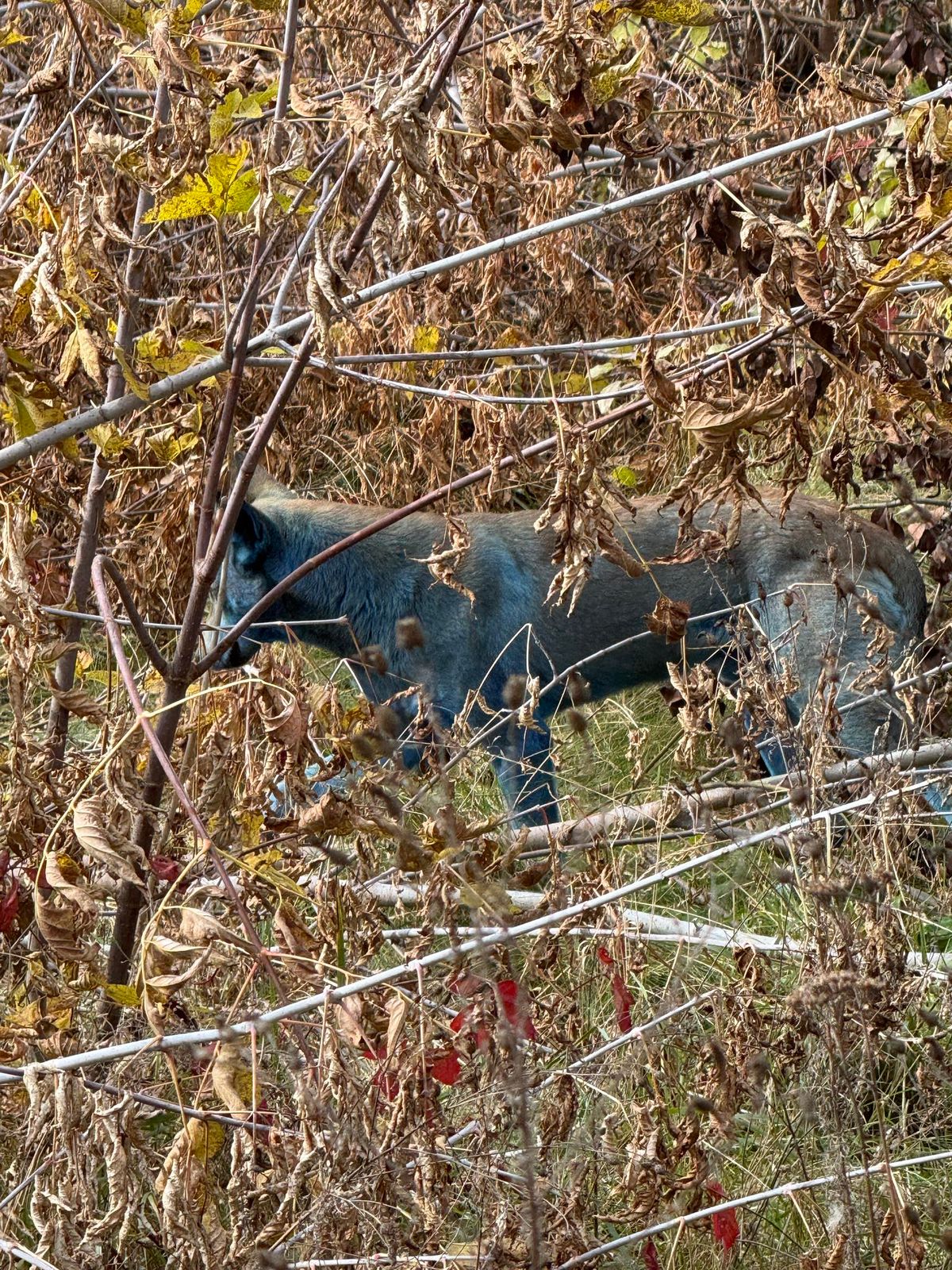 2962436 17569308 Економічні новини - головні новини України та світу