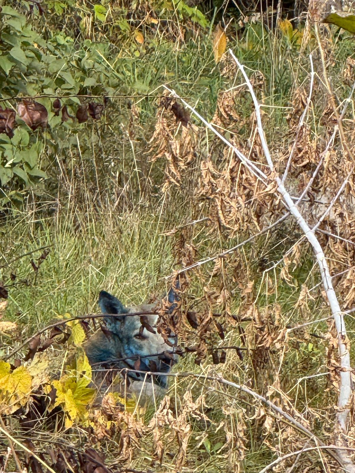 2962436 17569309 Економічні новини - головні новини України та світу