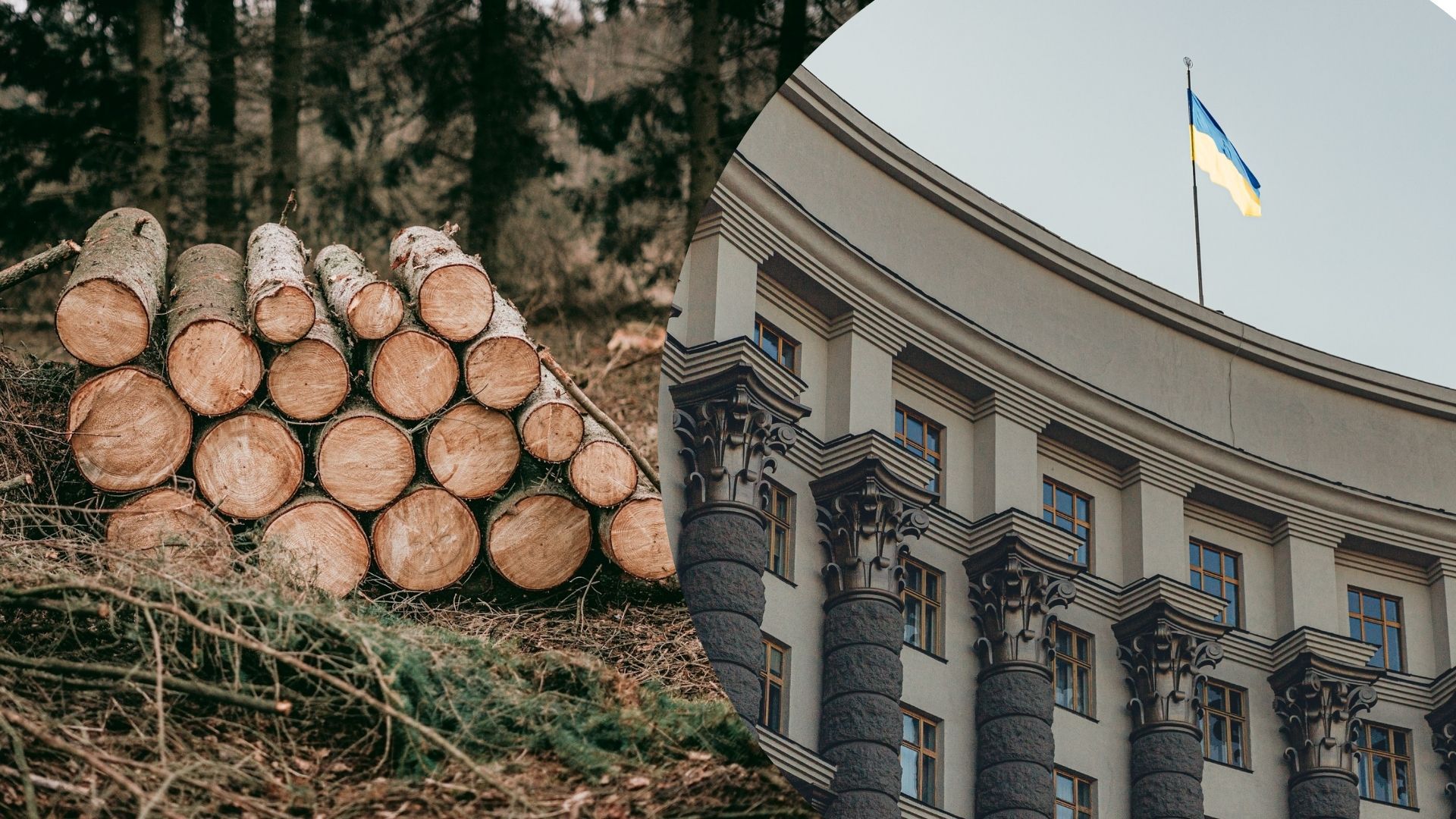 Стратегія управління лісами