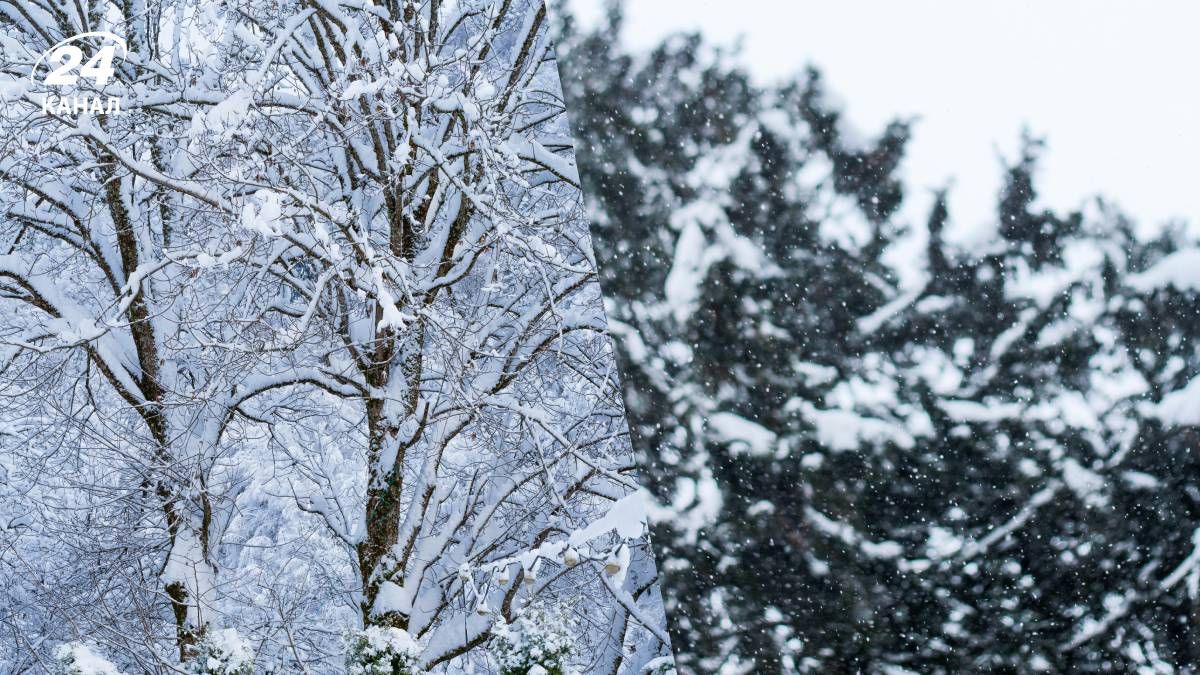 Снег в Украине пока возможен только с дождем - 24 Канал Снег в Украине пока возможен только с дождем - 24 Канал
