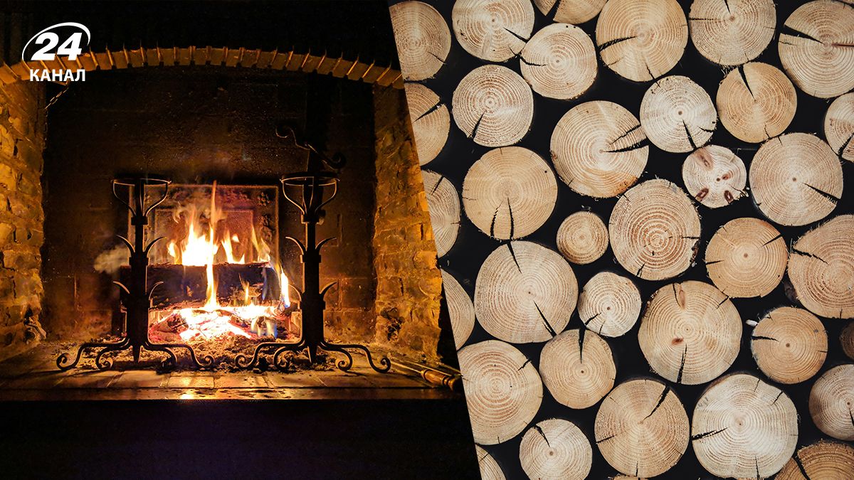 Отопление дома - какие дрова выбрать, чтобы они не засоряли домоход Отопление дома - какие дрова выбрать, чтобы они не засоряли домоход