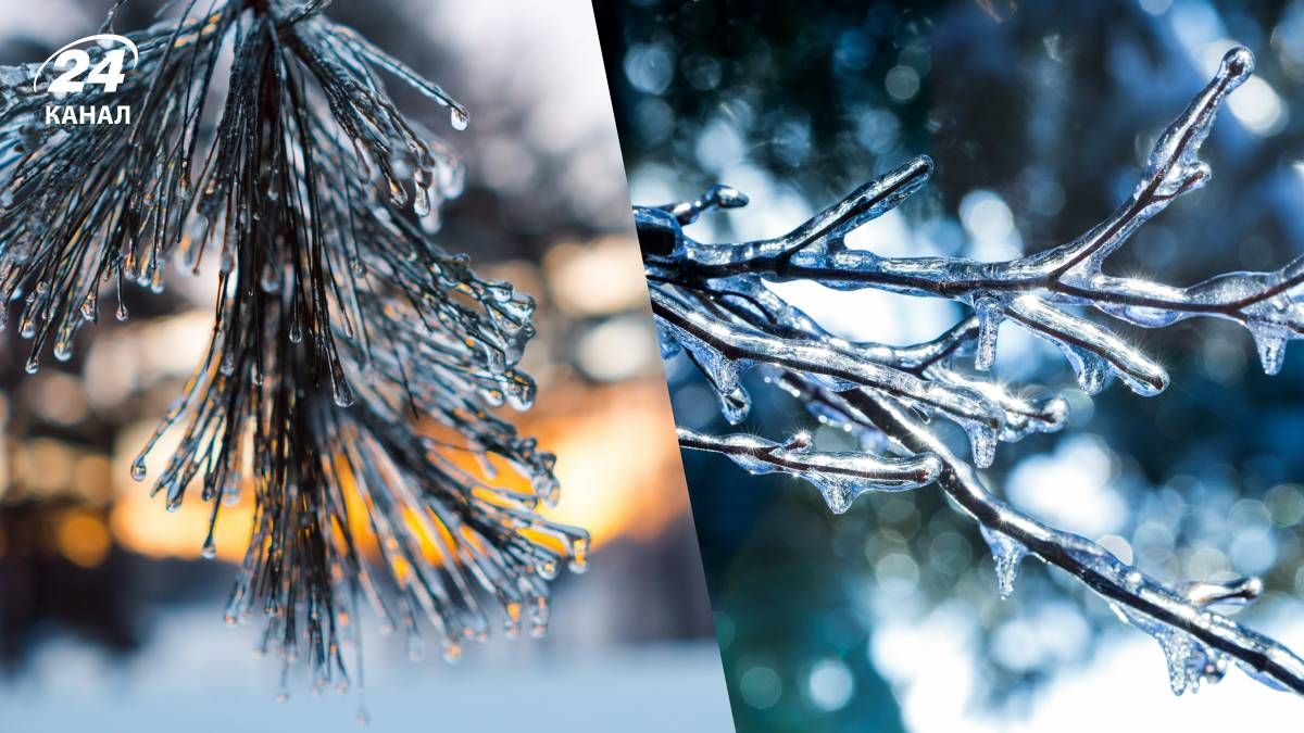 В яких областях вдарять нічні морози, а де буде тепло В яких областях вдарять нічні морози, а де буде тепло