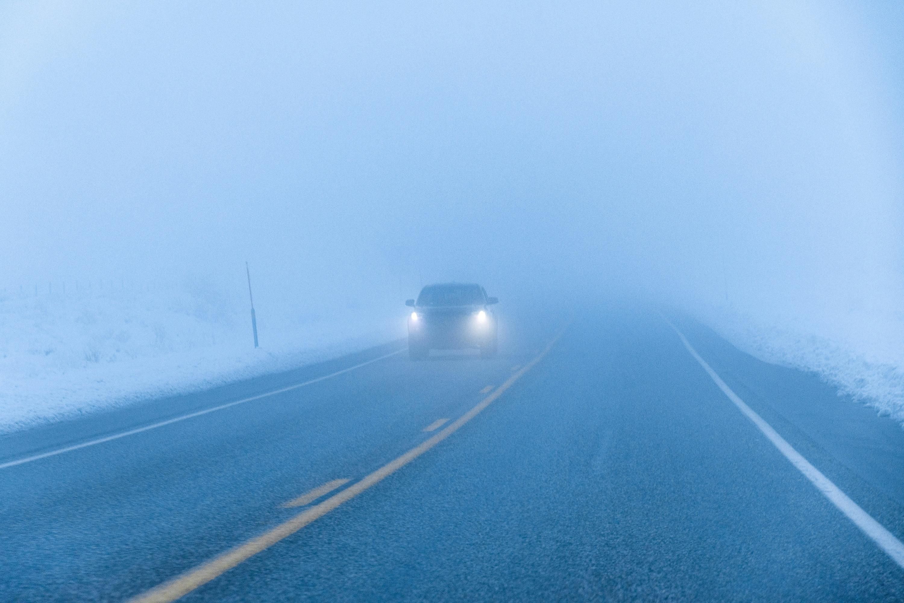 Туманы в Украине в декабре - 24 Канал Туманы в Украине в декабре - 24 Канал