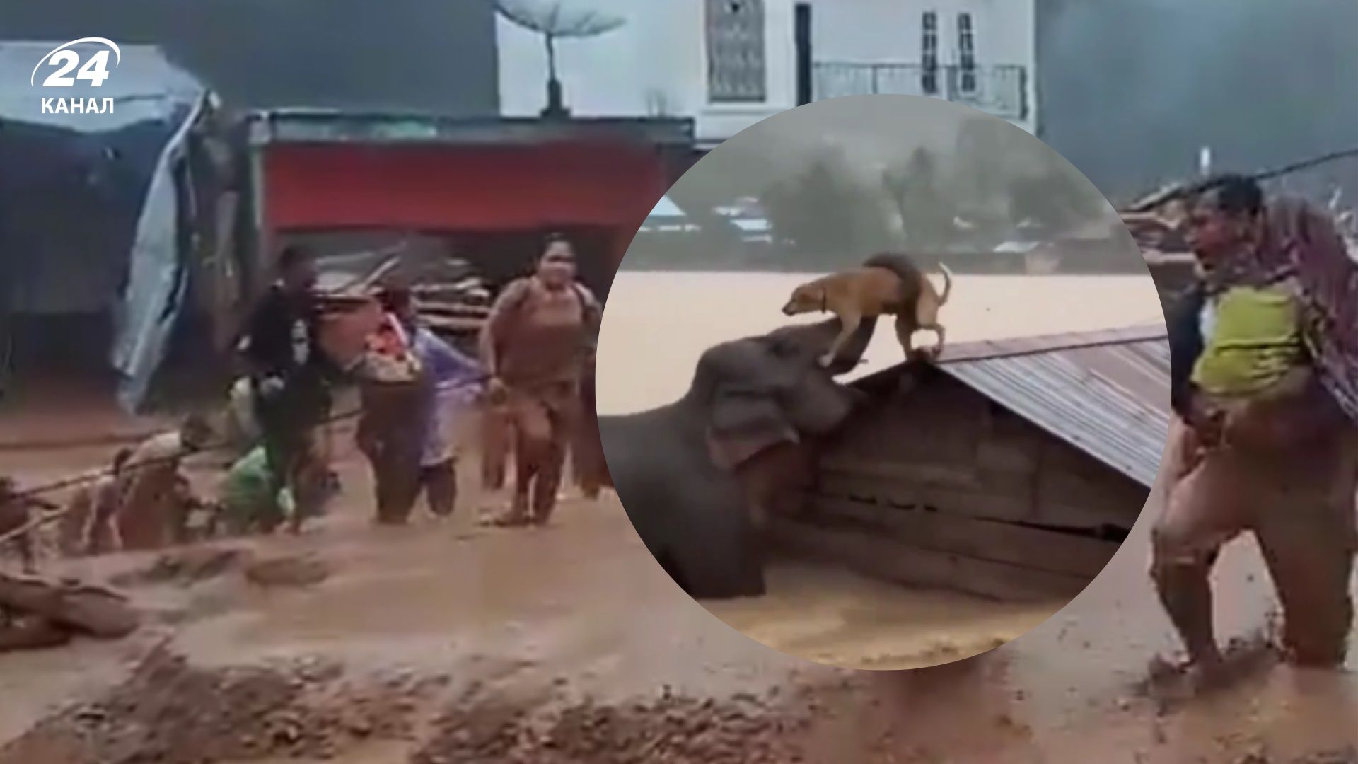 Шрі-Ланка, Індонезія і Таїланд потерпають від найбільшої катастрофи у своїй історії - 24 Канал Шрі-Ланка, Індонезія і Таїланд потерпають від найбільшої катастрофи у своїй історії - 24 Канал