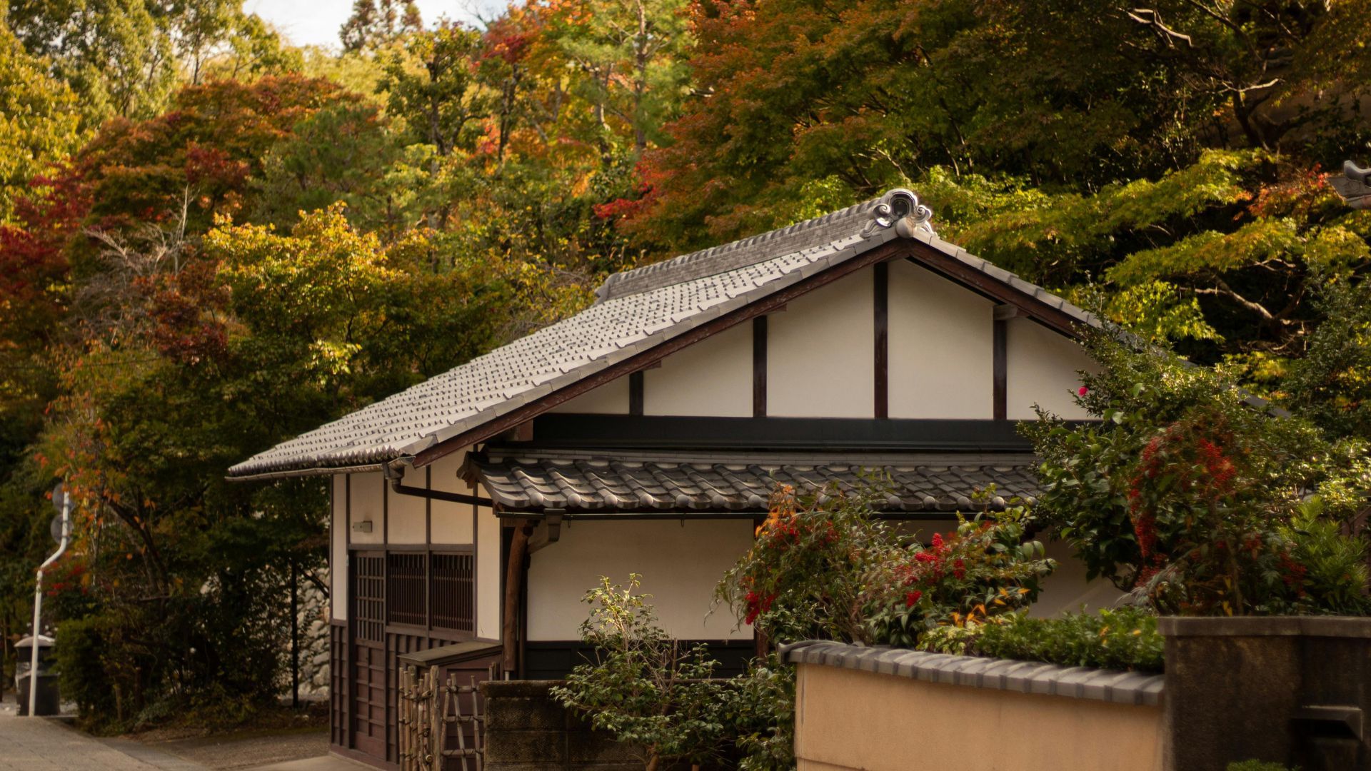 Блогер купив покинутий дім у Японії