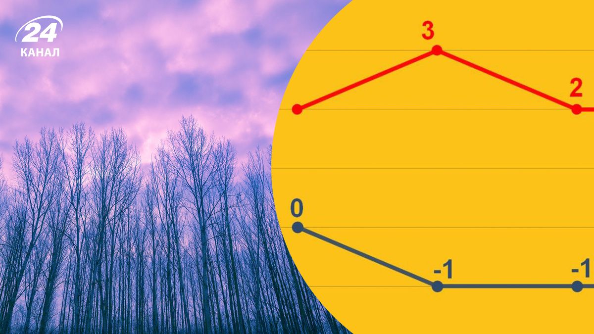 Чому зима така тепла і коли піде сніг - новини України - 24 Канал Чому зима така тепла і коли піде сніг - новини України - 24 Канал