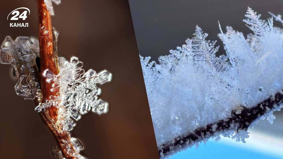 Прогноз погоди в Україні на 6 грудня 2025 року - 24 Канал Прогноз погоди в Україні на 6 грудня 2025 року - 24 Канал