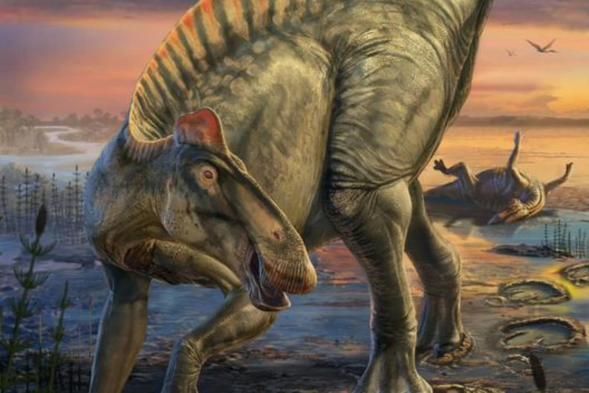 У США виявили новий вид гігантського динозавра У США виявили новий вид гігантського динозавра