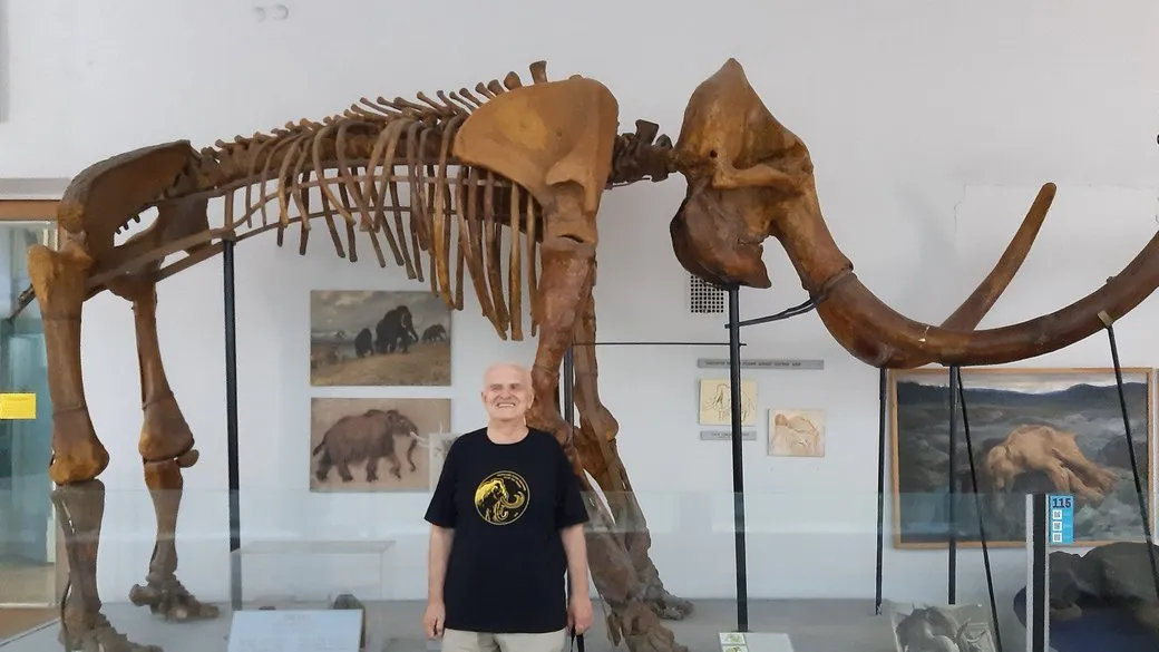 Мамонт Гатное Киевщина Где в Украине жили мамонты Мамонт Гатное Киевщина Где в Украине жили мамонты