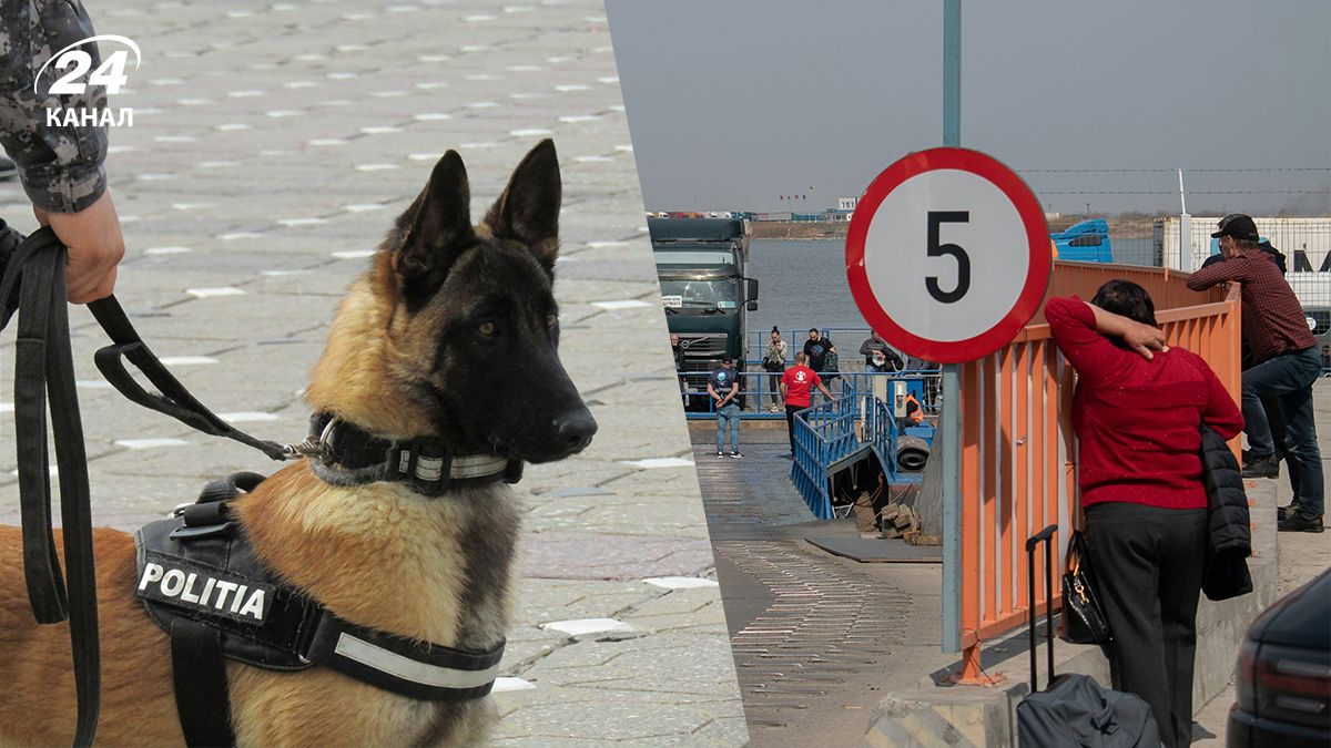 Пересечение границы с Румынией – какие вещи нельзя вести в Румынию