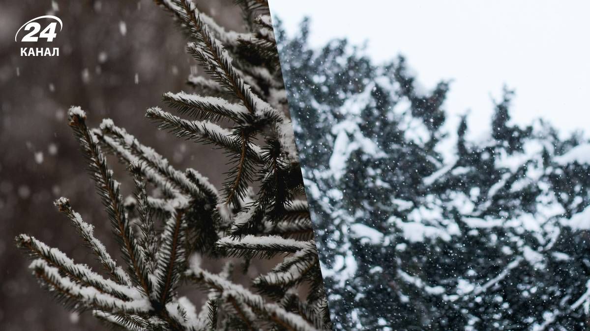 Сильного снега в Украине скорее всего не будет в декабре Сильного снега в Украине скорее всего не будет в декабре