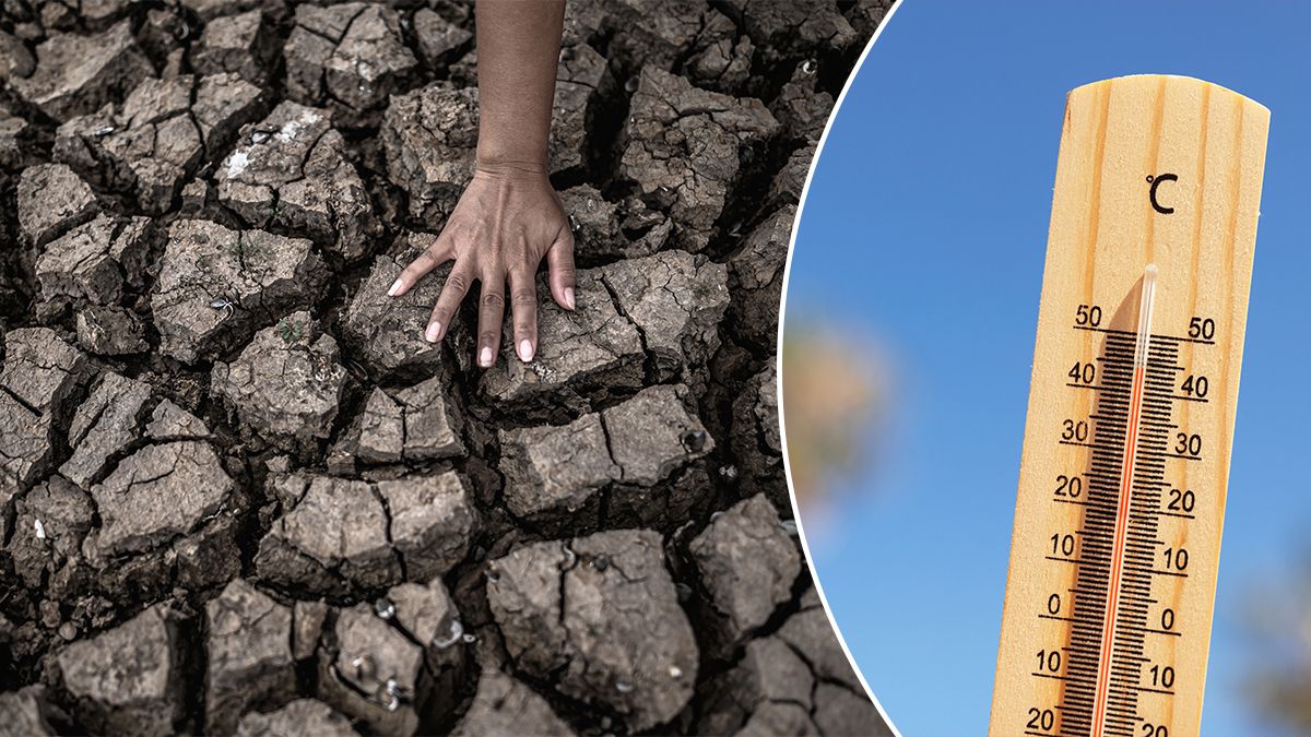 Температура планеты в 2025 году достигла второго самого высокого уровня в истории