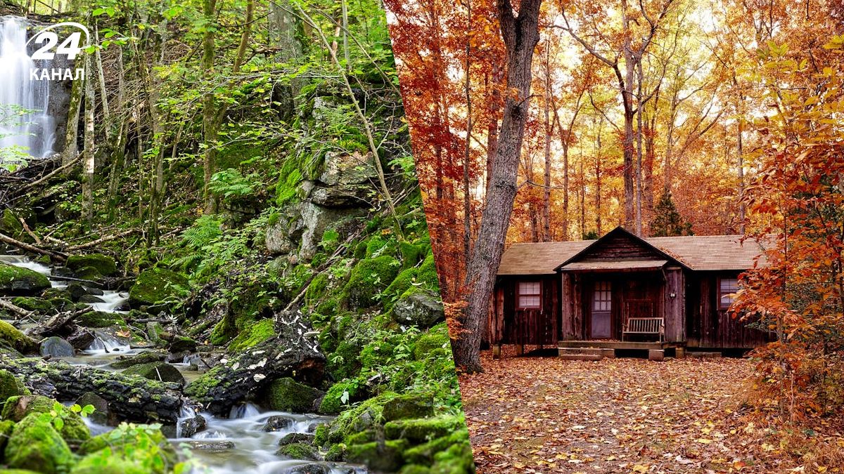 У Швеції пропонують безплатно і тихо відпочити У Швеції пропонують безплатно і тихо відпочити