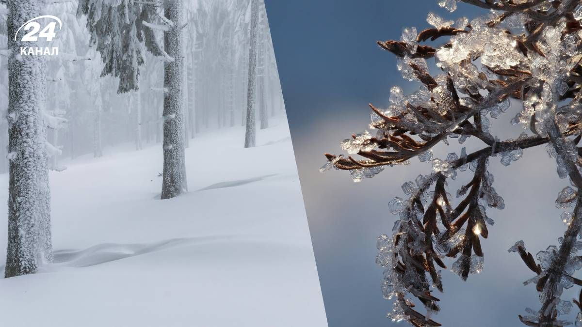 Метеорологическая зима в Украине пока не наступила - 24 Канал Метеорологическая зима в Украине пока не наступила - 24 Канал