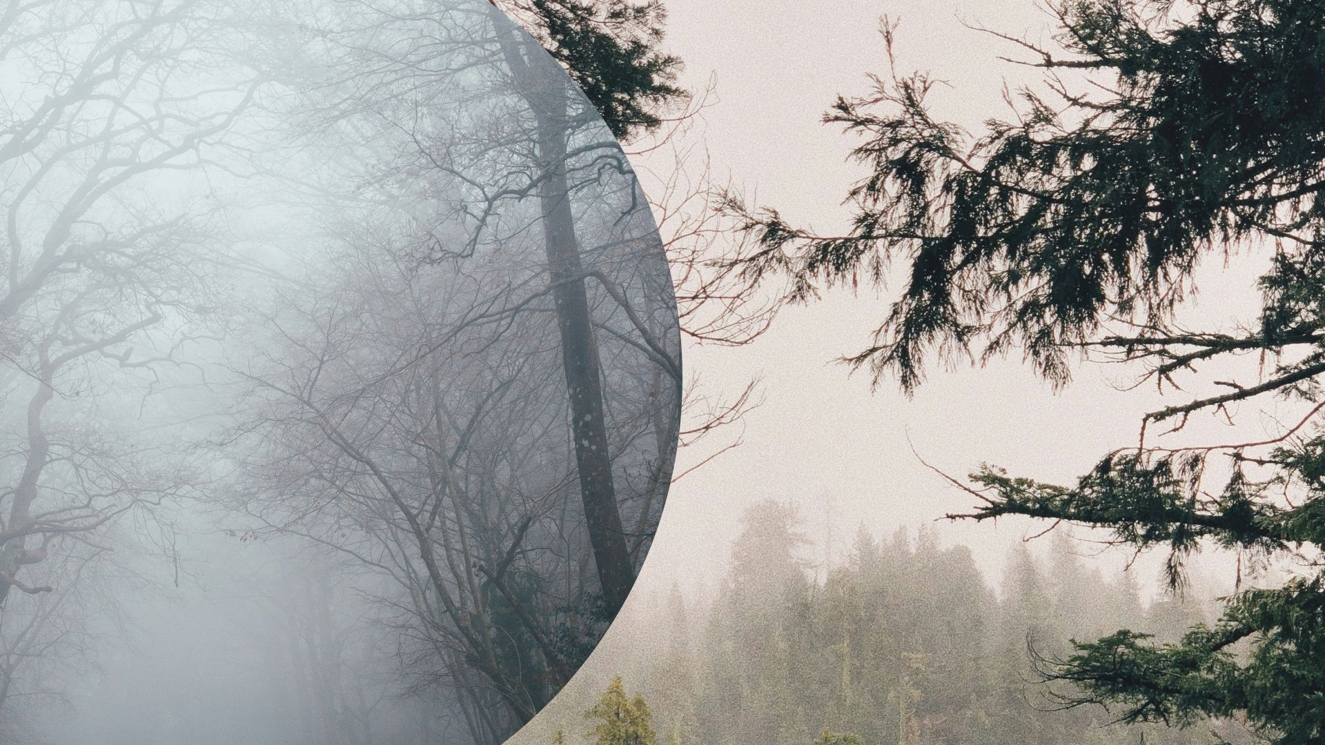 Погода в Украине - 24 Канал Погода в Украине - 24 Канал