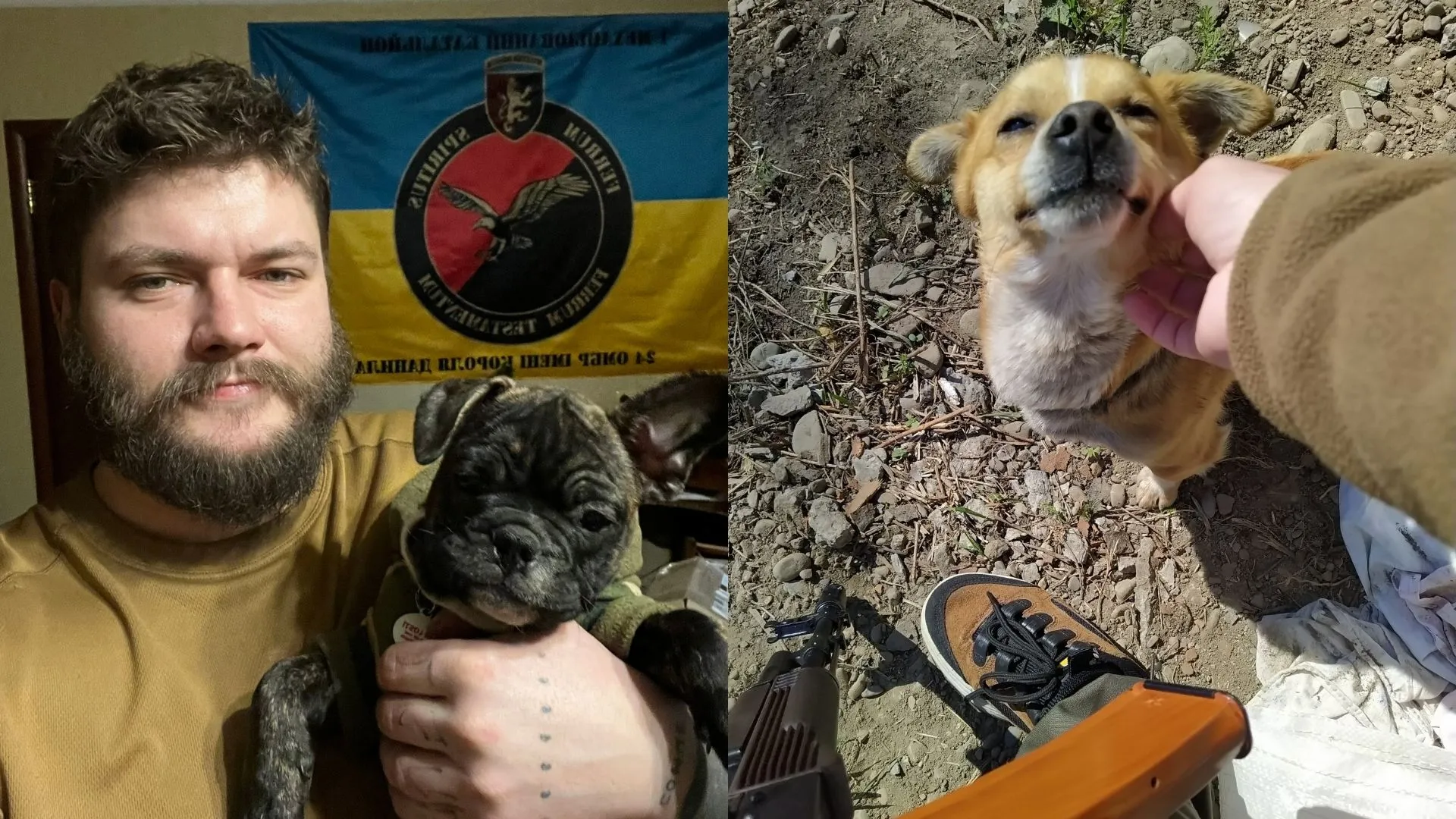 Олег Максимкив очень любил животных Олег Максимкив очень любил животных