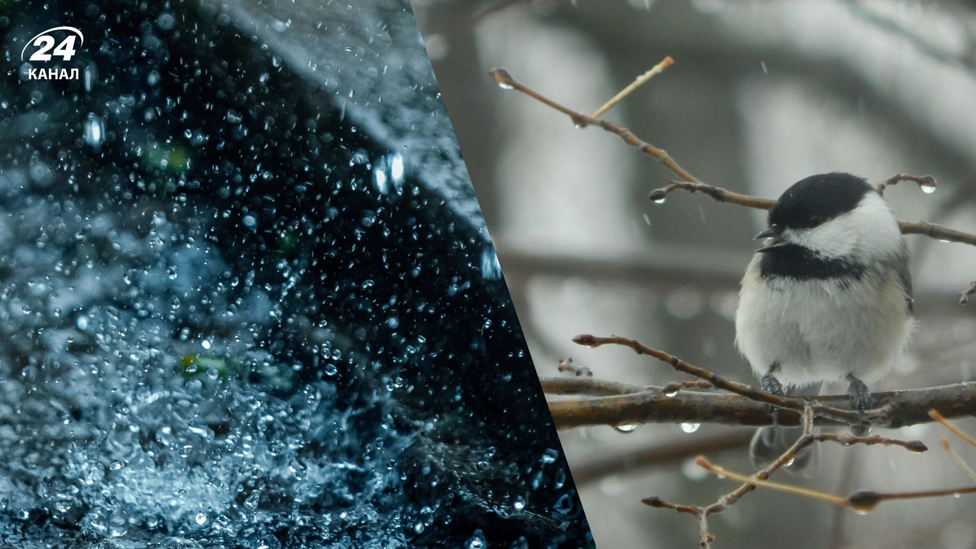 Прогноз погоди на 11 грудня Прогноз погоди на 11 грудня